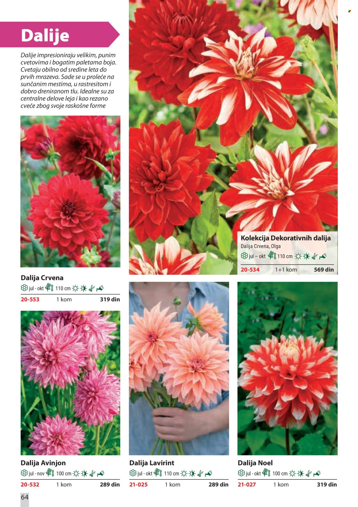 Flora Ekspres katalog. Stranica 64