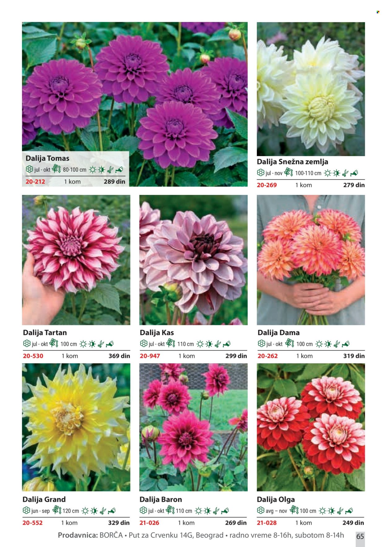 Flora Ekspres katalog. Stranica 65