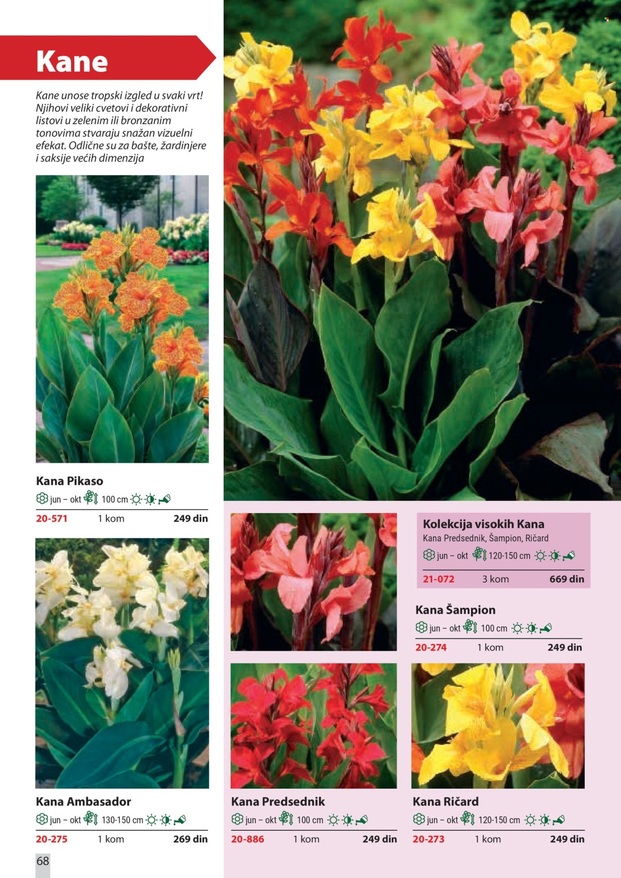 Flora Ekspres katalog. Stranica 68