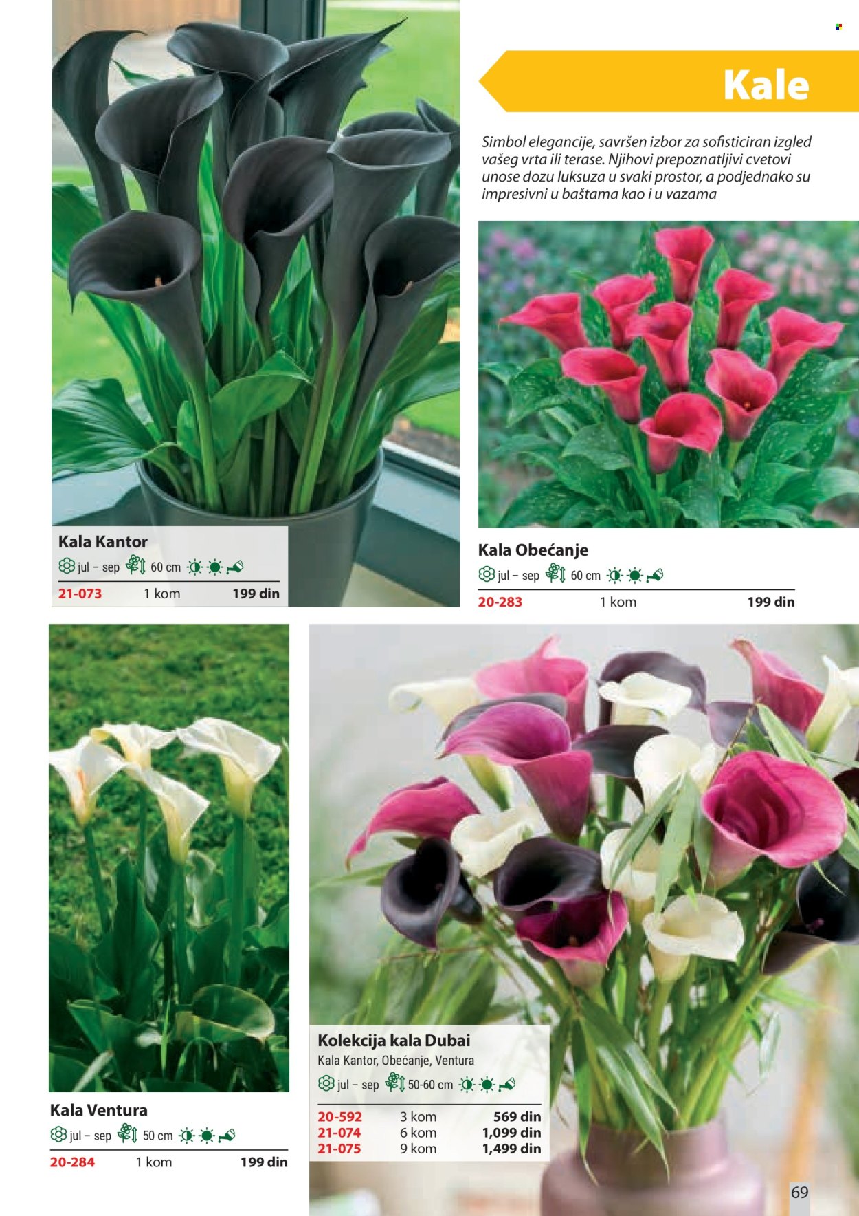 Flora Ekspres katalog. Stranica 69