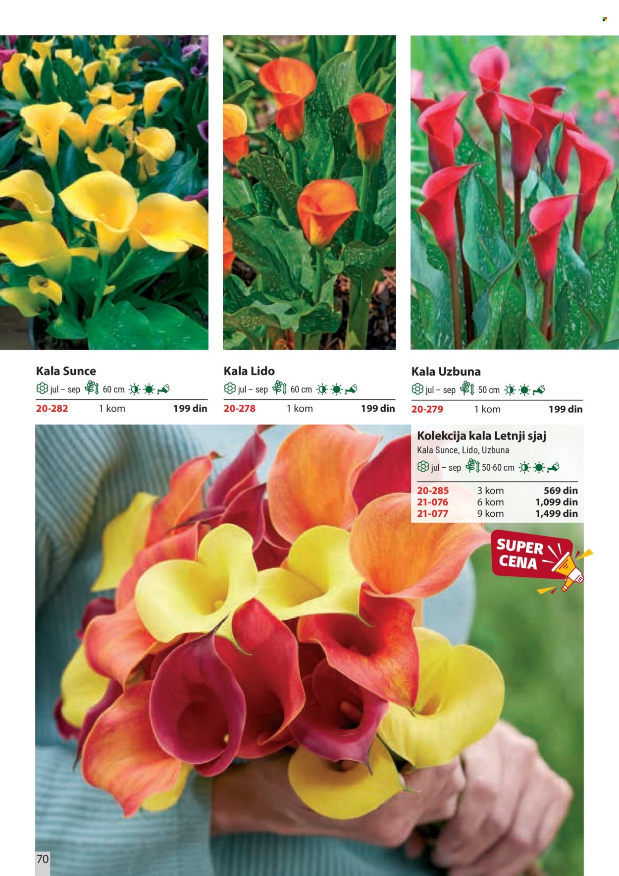 Flora Ekspres katalog. Stranica 70