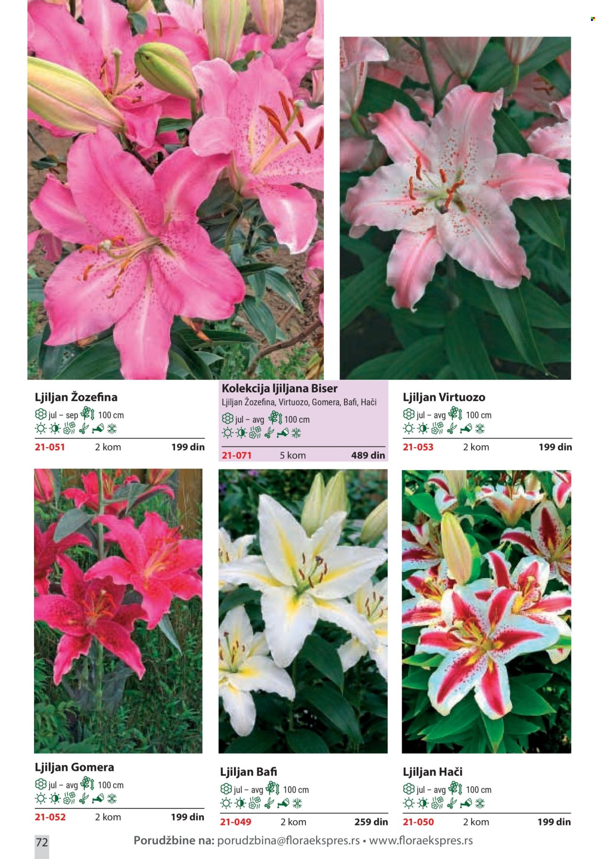 Flora Ekspres katalog. Stranica 72