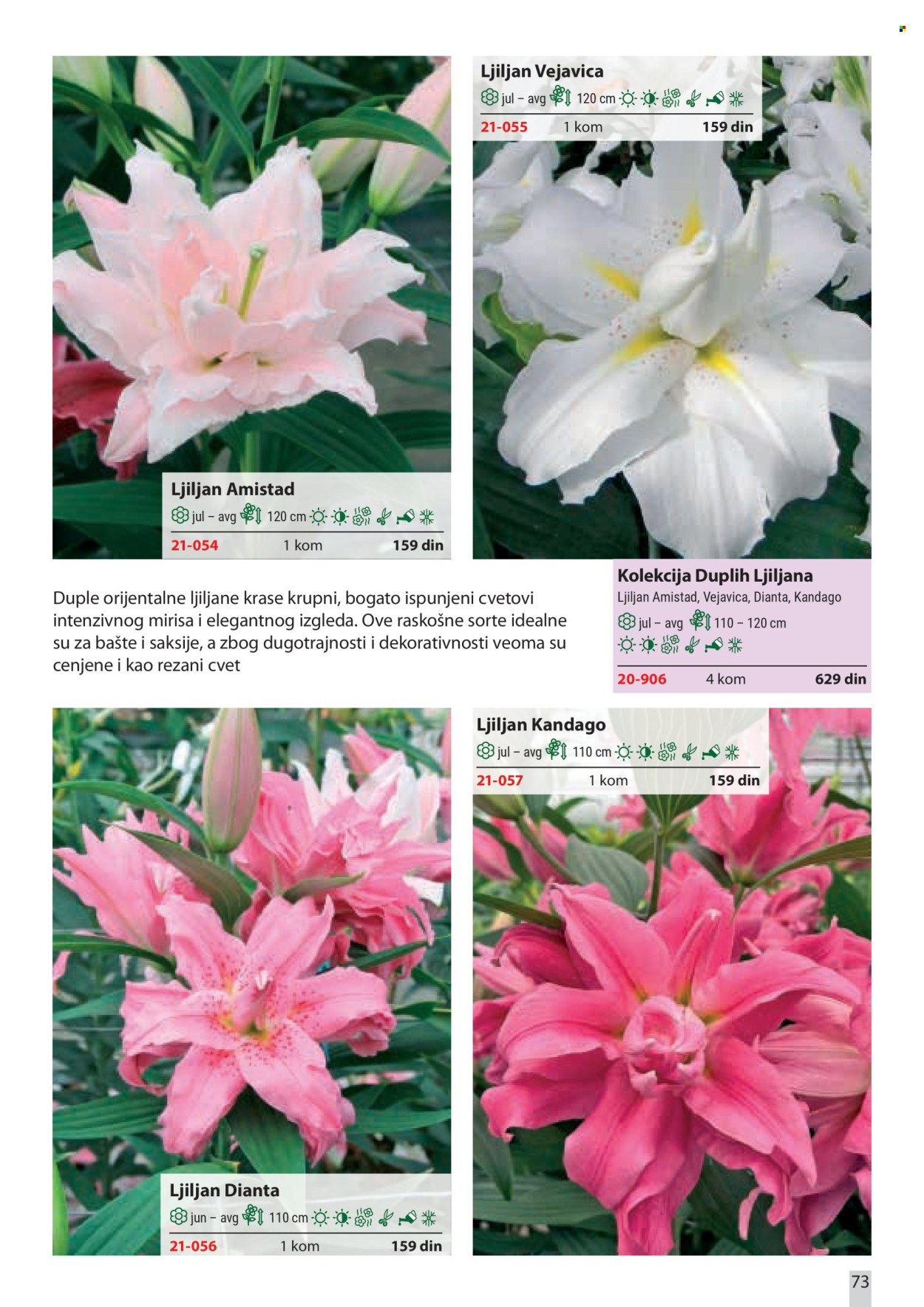 Flora Ekspres katalog. Stranica 73