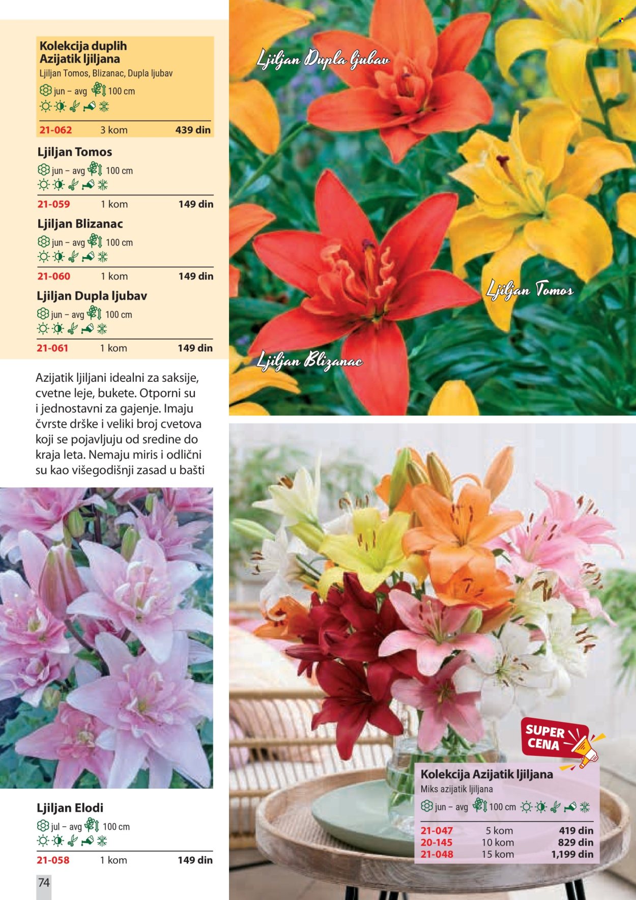 Flora Ekspres katalog. Stranica 74
