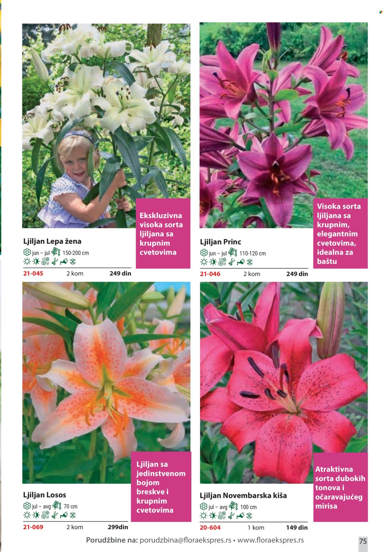 Flora Ekspres katalog. Stranica 75