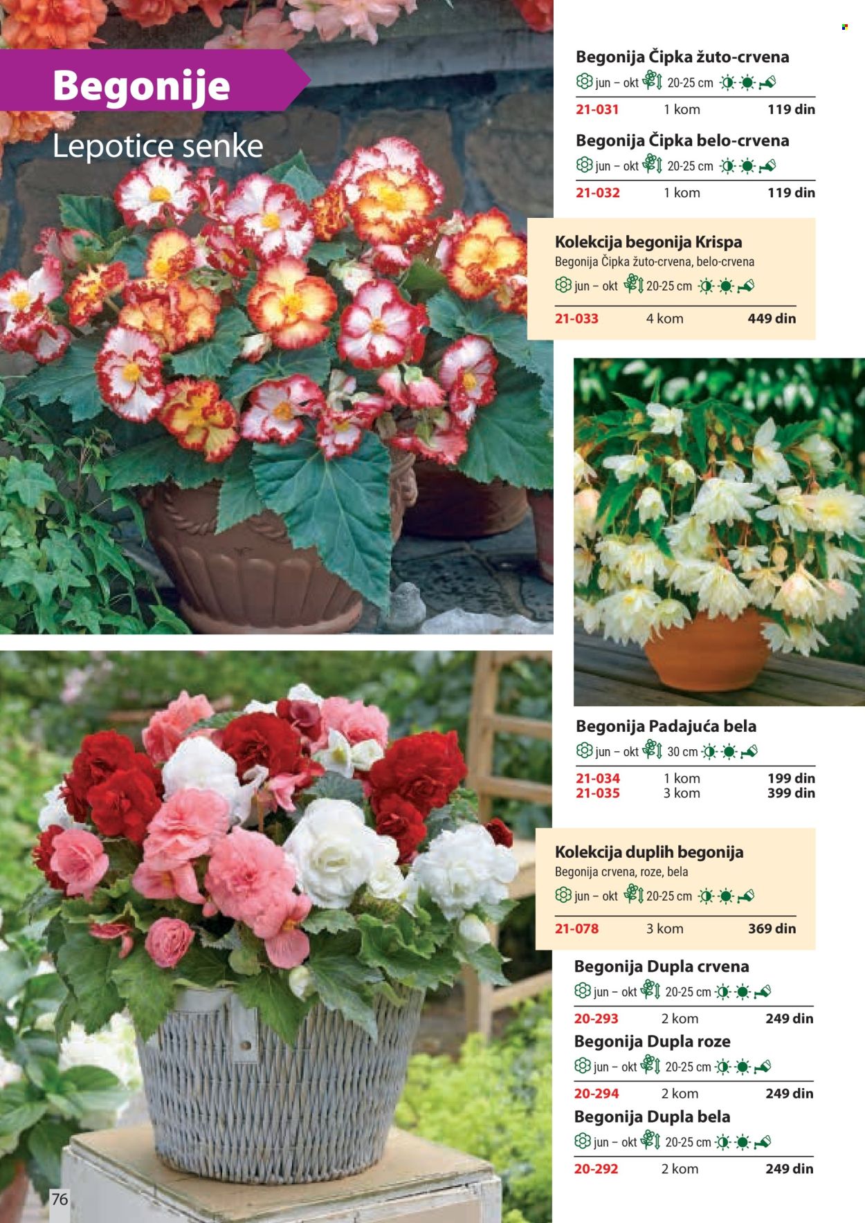 Flora Ekspres katalog. Stranica 76