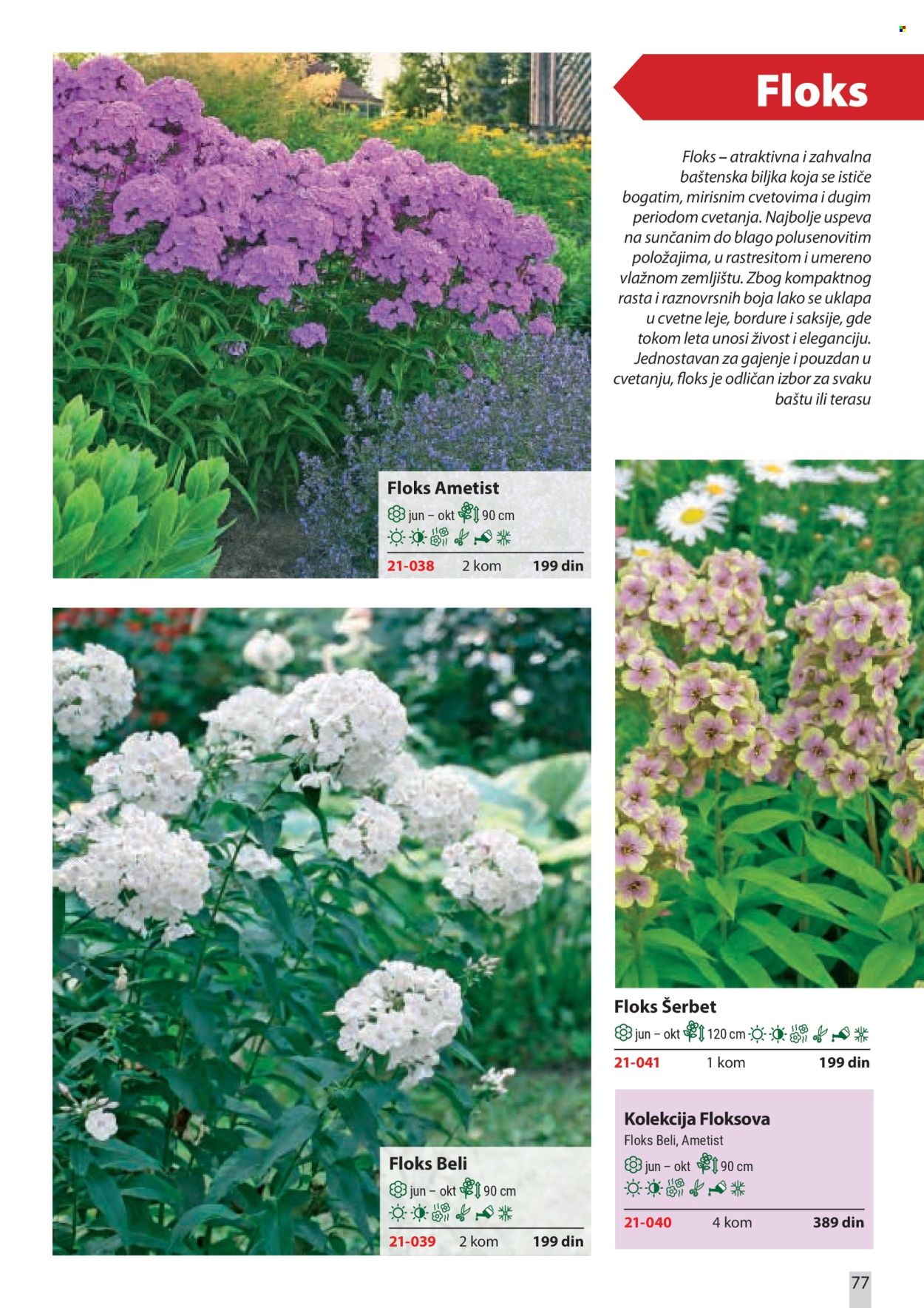 Flora Ekspres katalog. Stranica 77