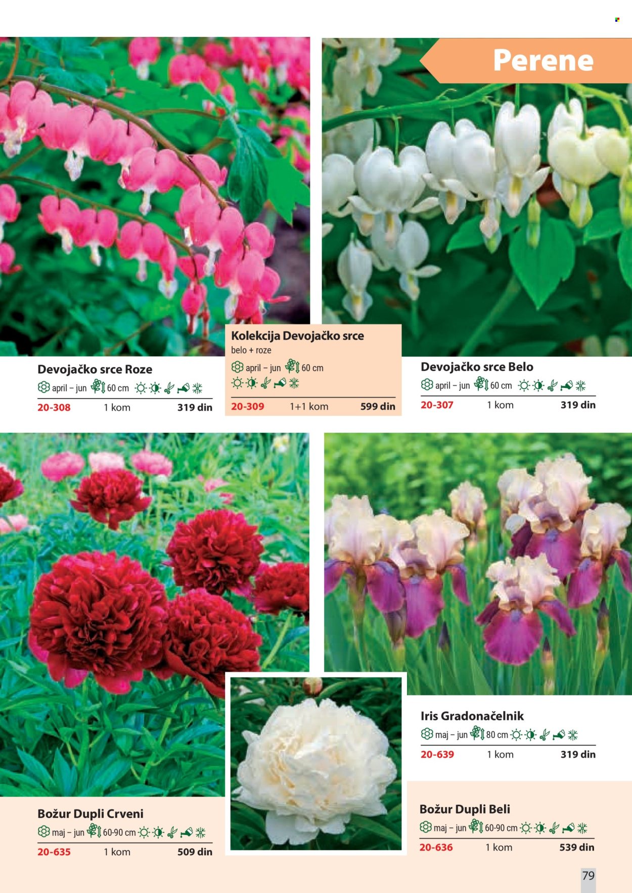 Flora Ekspres katalog. Stranica 79