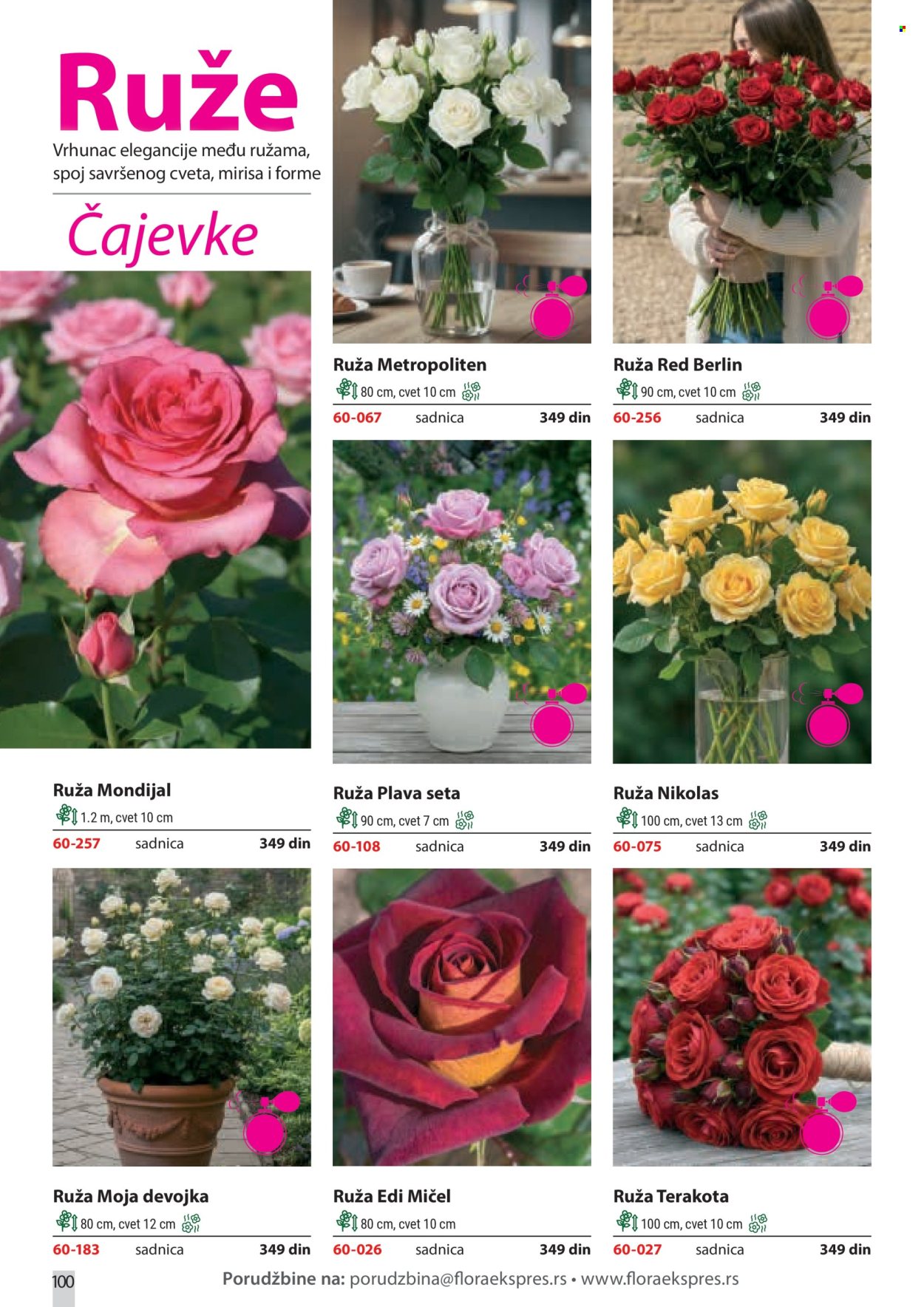 Flora Ekspres katalog. Stranica 100