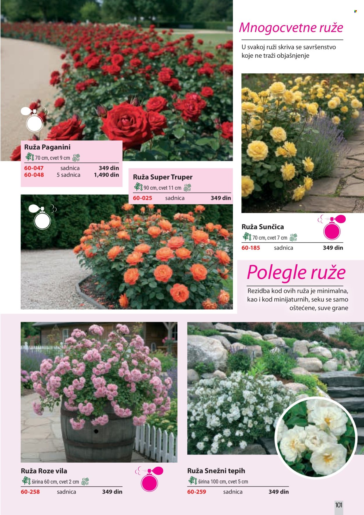 Flora Ekspres katalog. Stranica 101