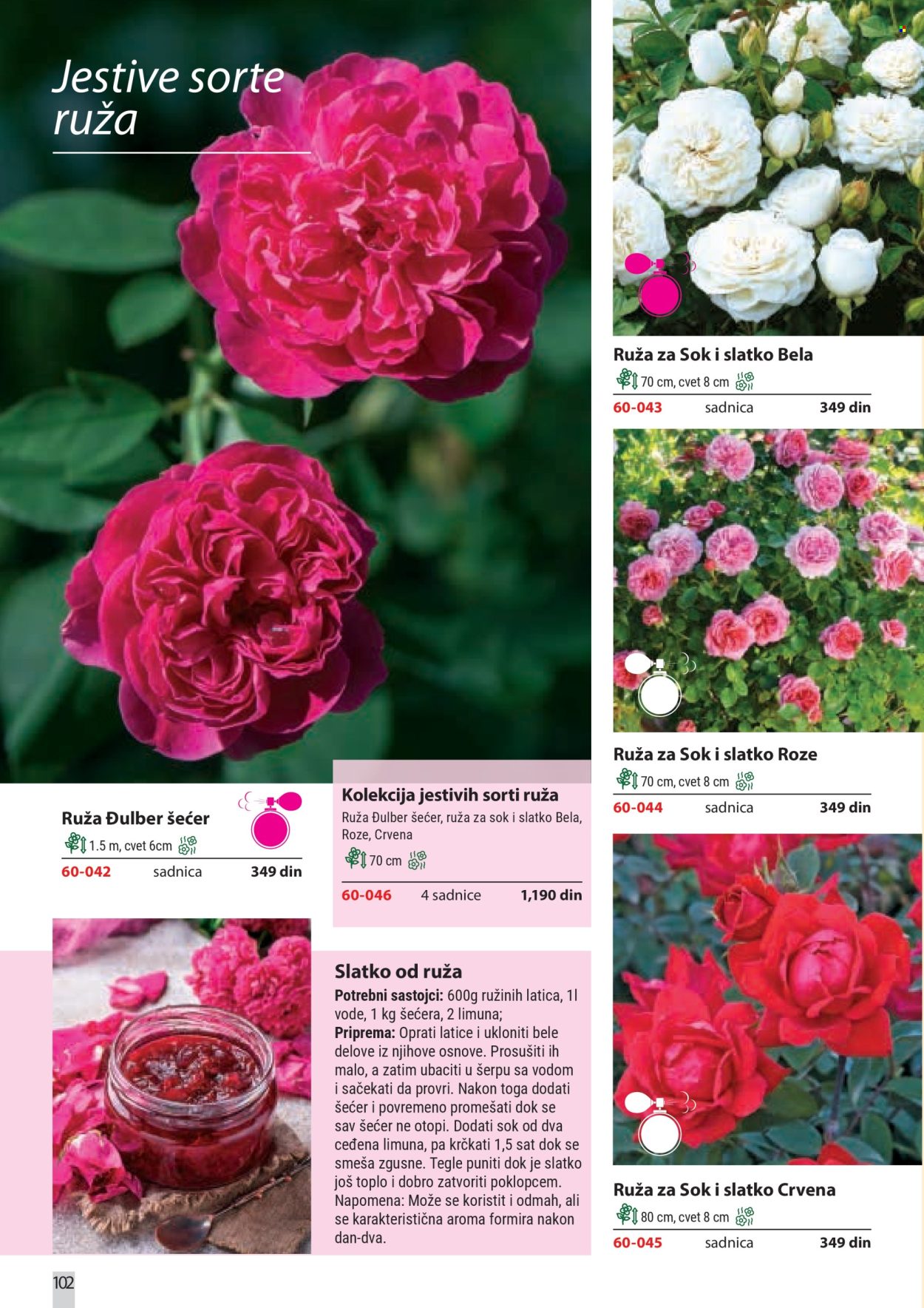 Flora Ekspres katalog. Stranica 102