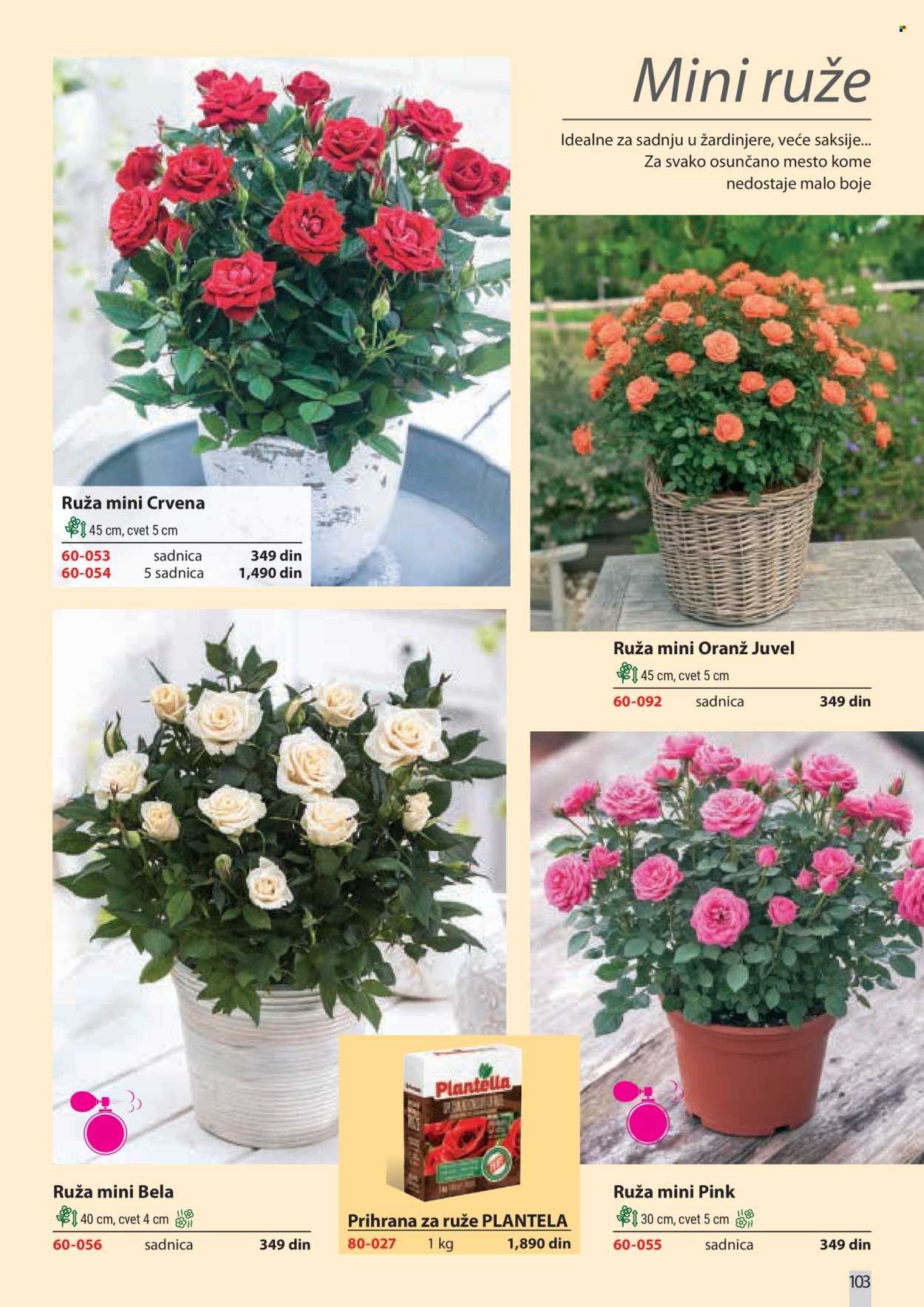 Flora Ekspres katalog. Stranica 103