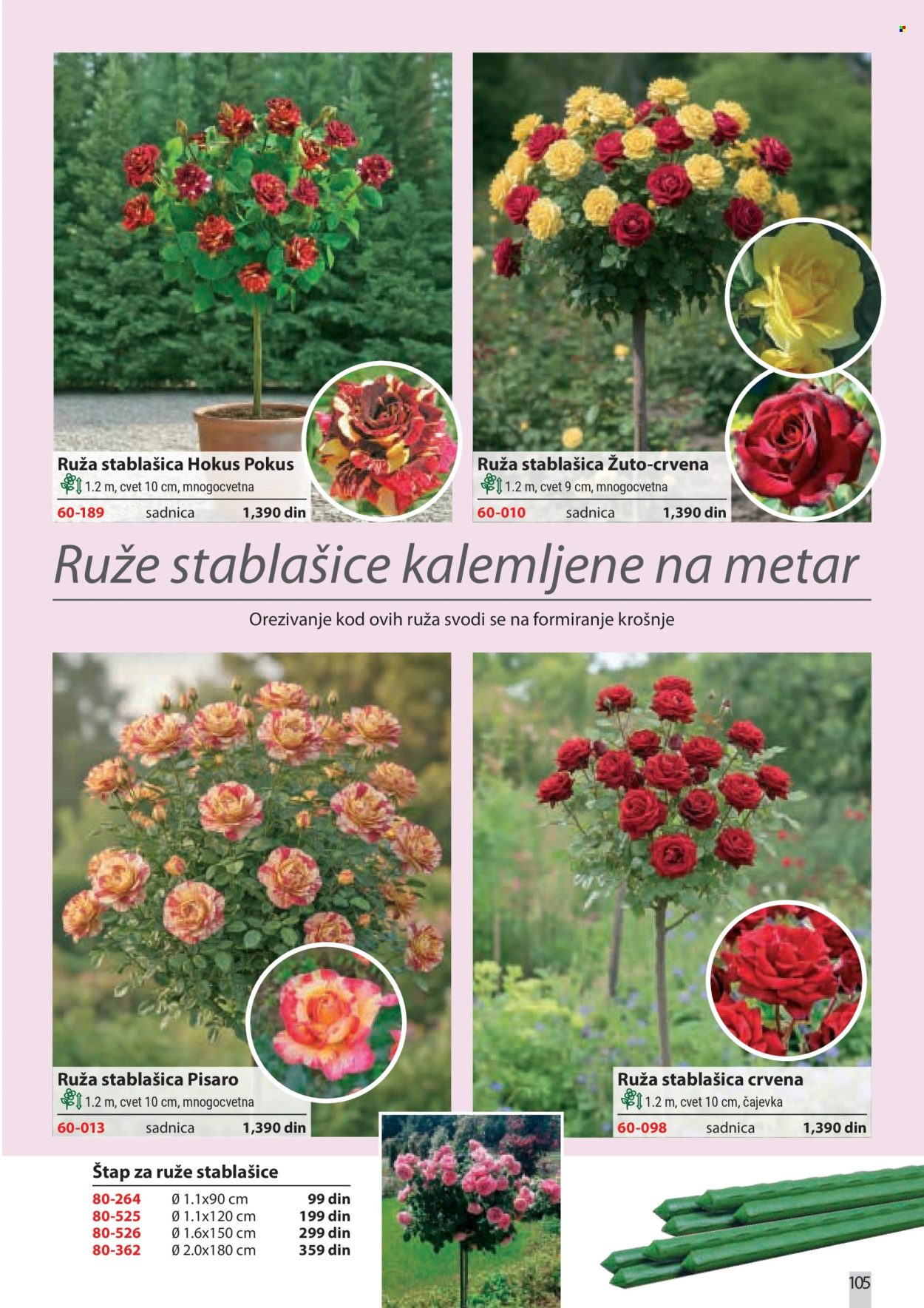 Flora Ekspres katalog. Stranica 105