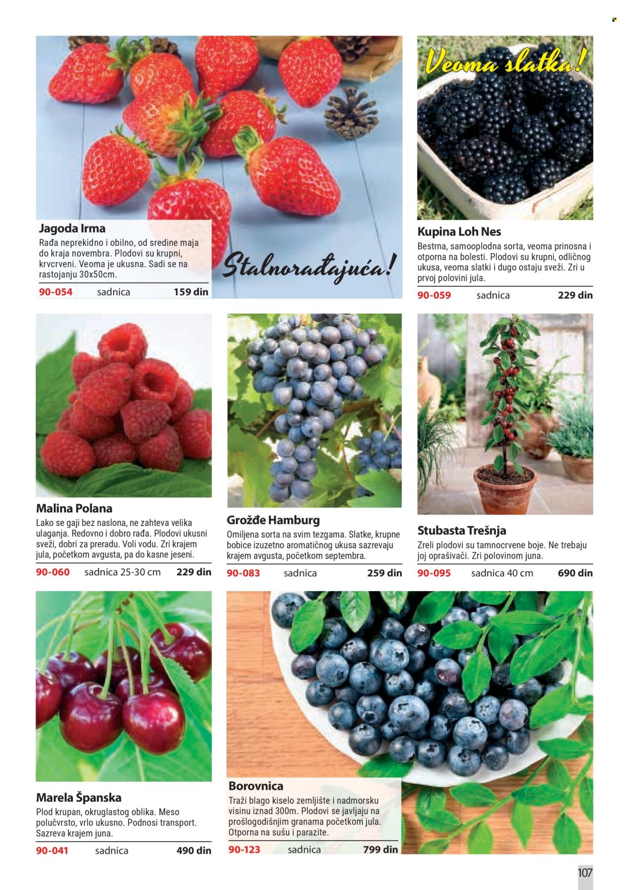 Flora Ekspres katalog. Stranica 107