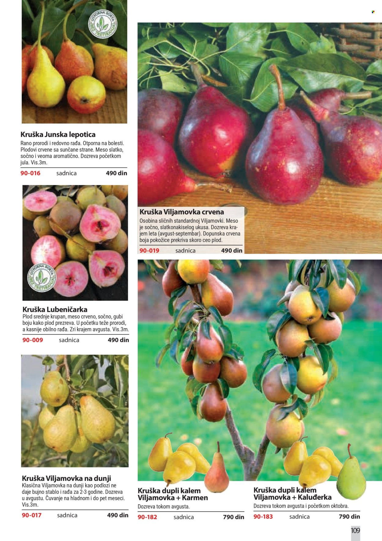 Flora Ekspres katalog. Stranica 109