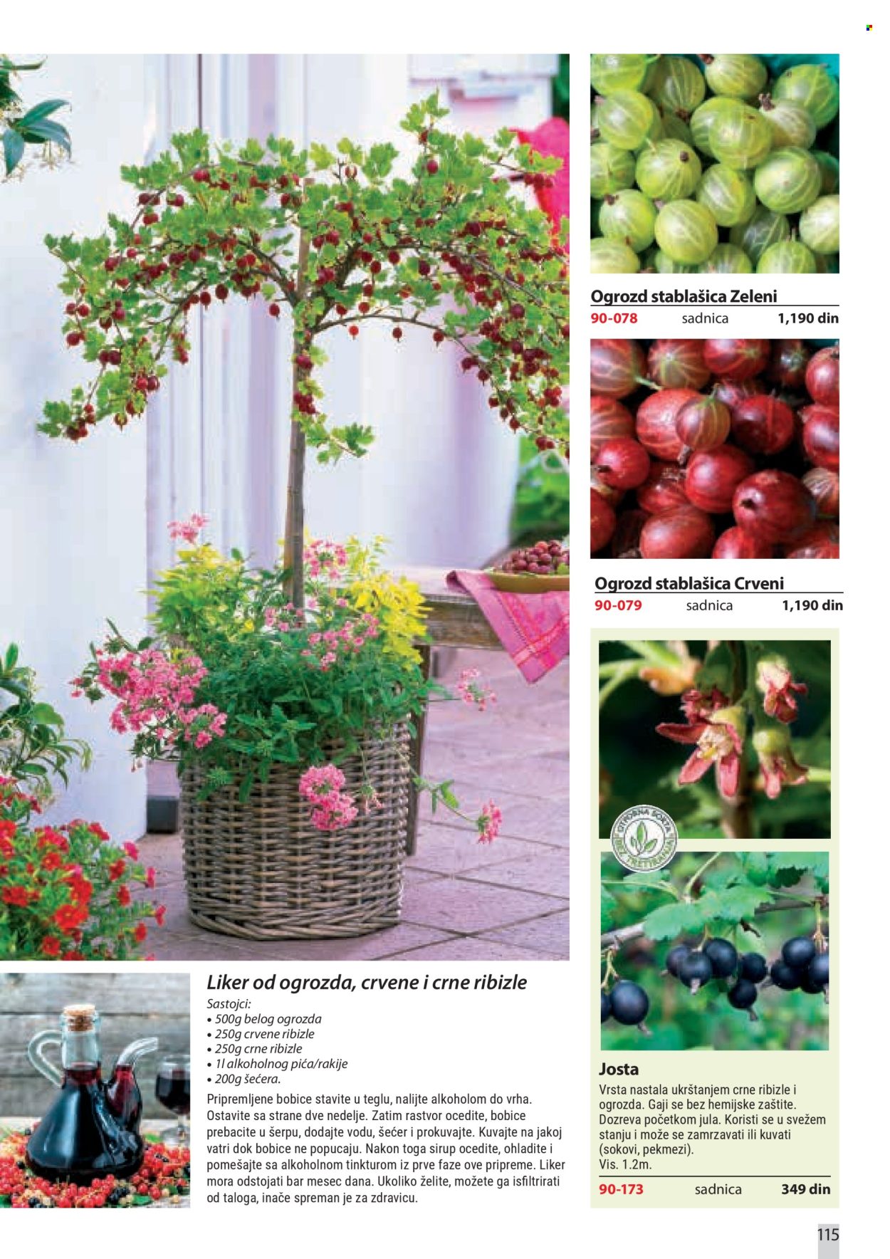 Flora Ekspres katalog. Stranica 115