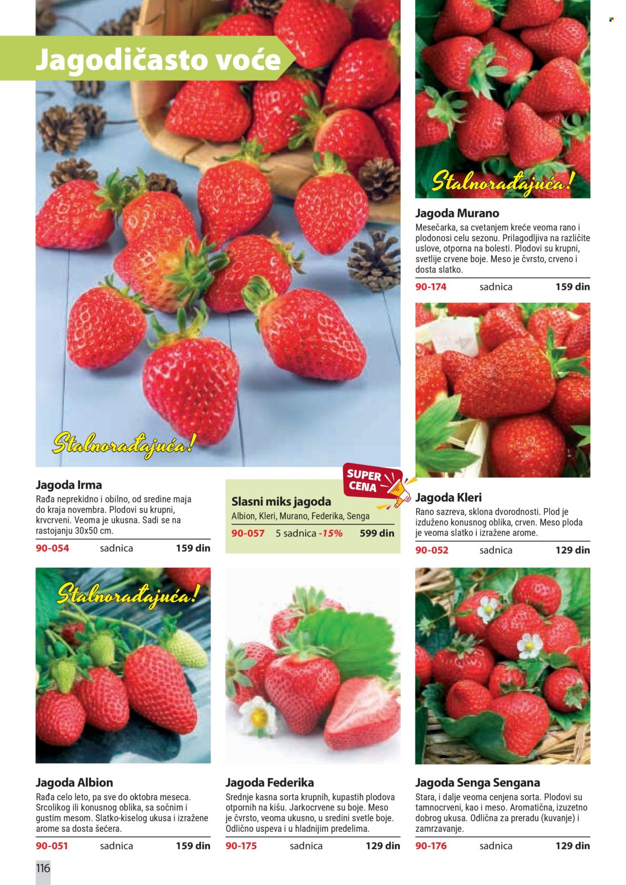 Flora Ekspres katalog. Stranica 116