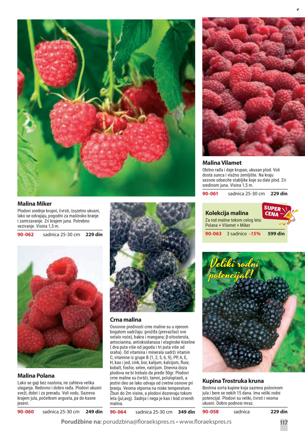 Flora Ekspres katalog. Stranica 117