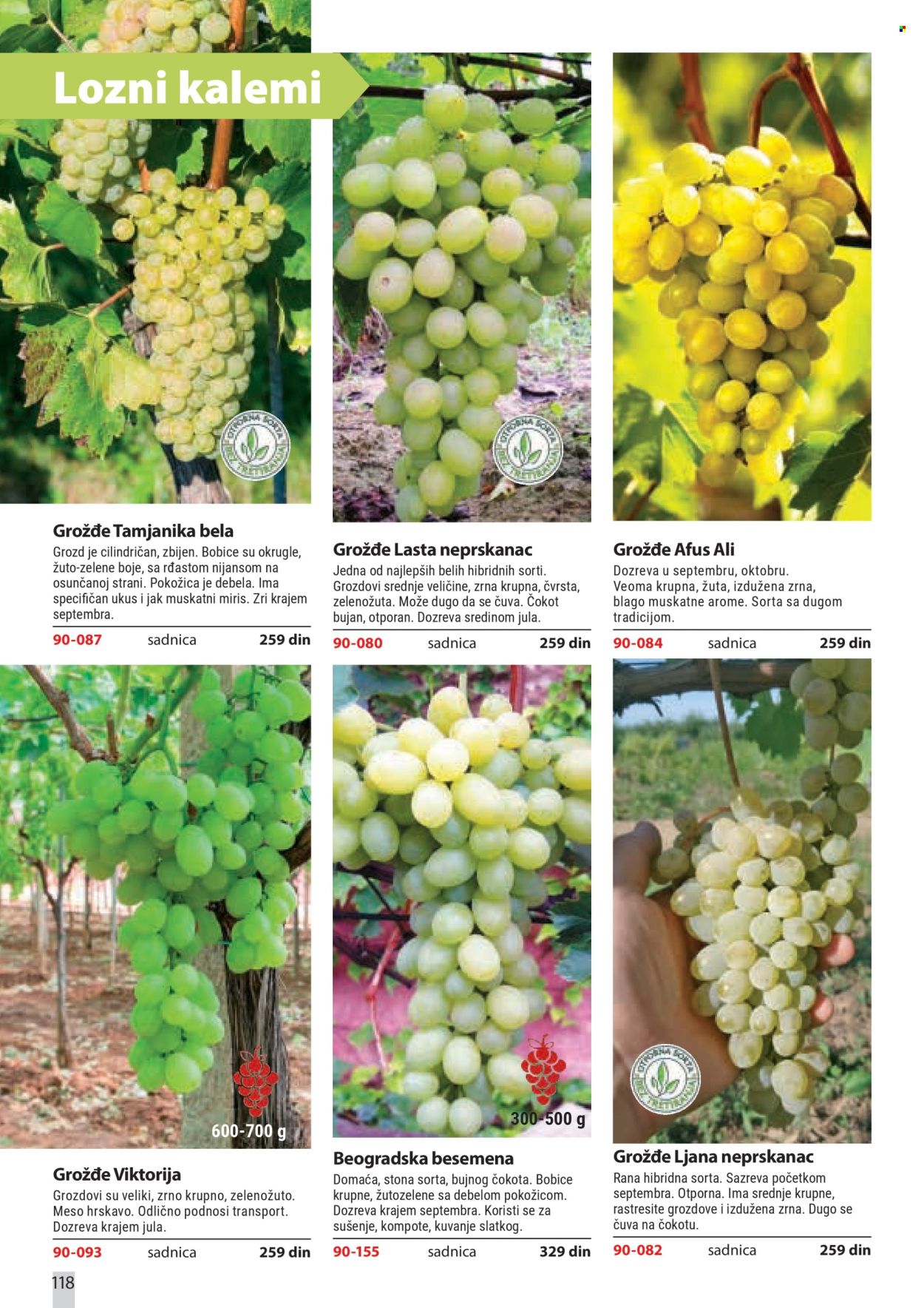 Flora Ekspres katalog. Stranica 118