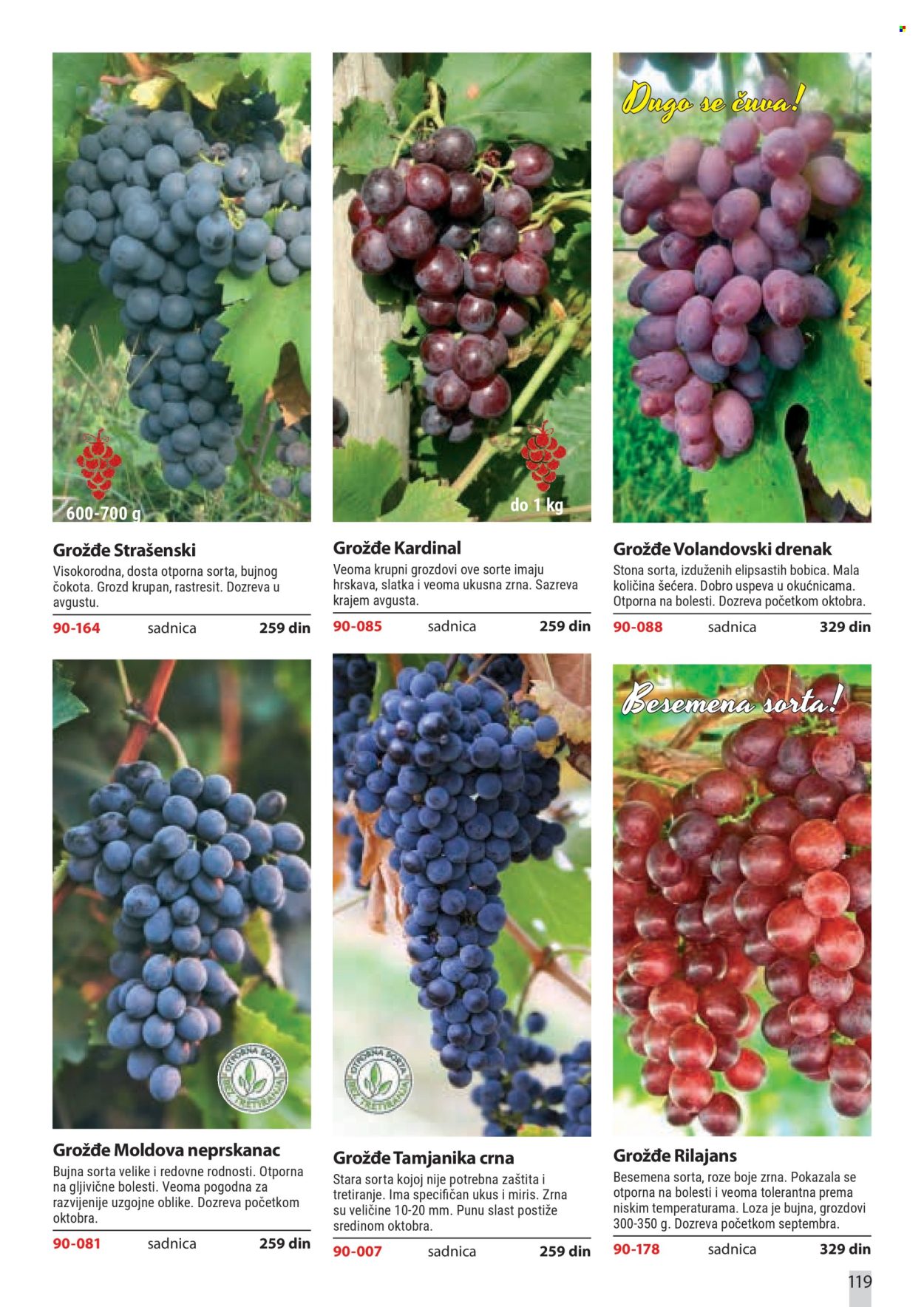 Flora Ekspres katalog. Stranica 119