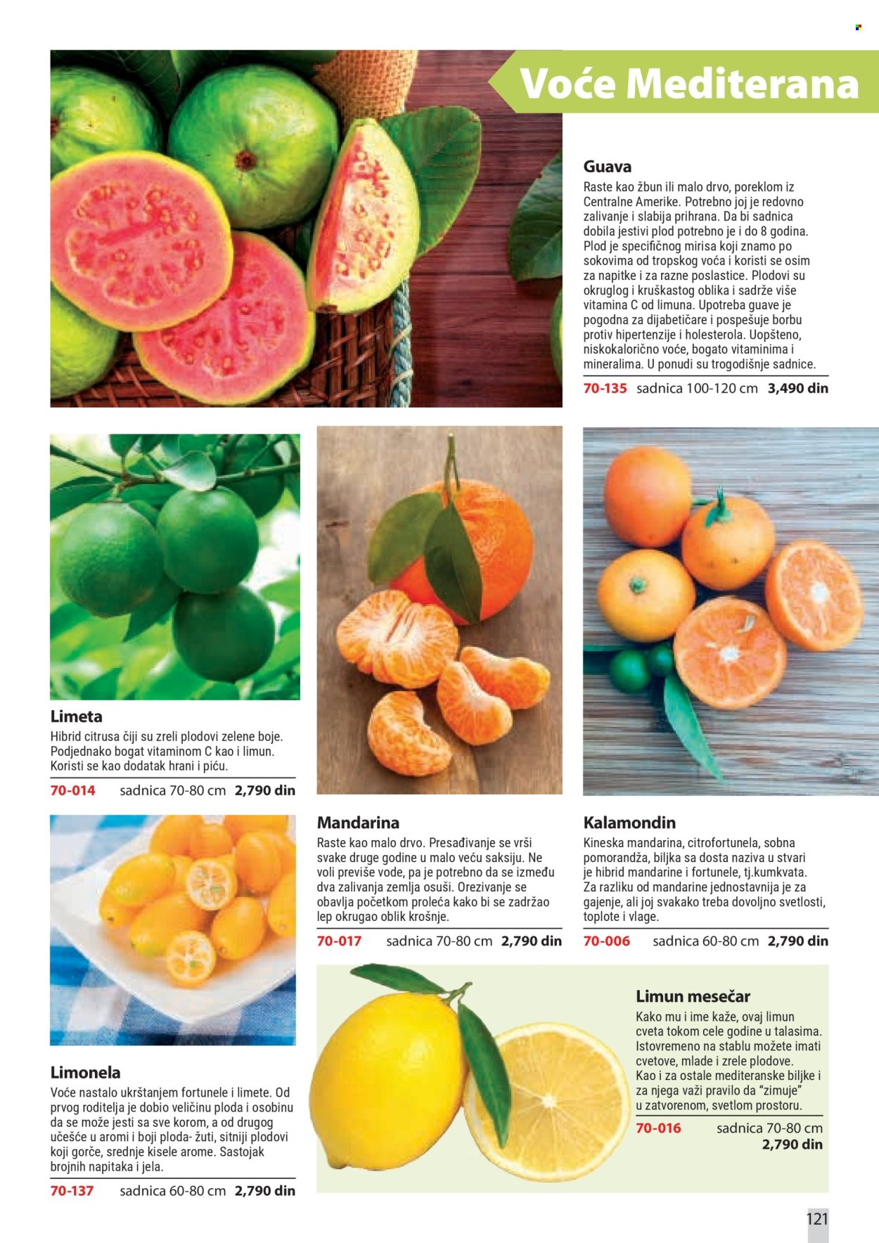 Flora Ekspres katalog. Stranica 121