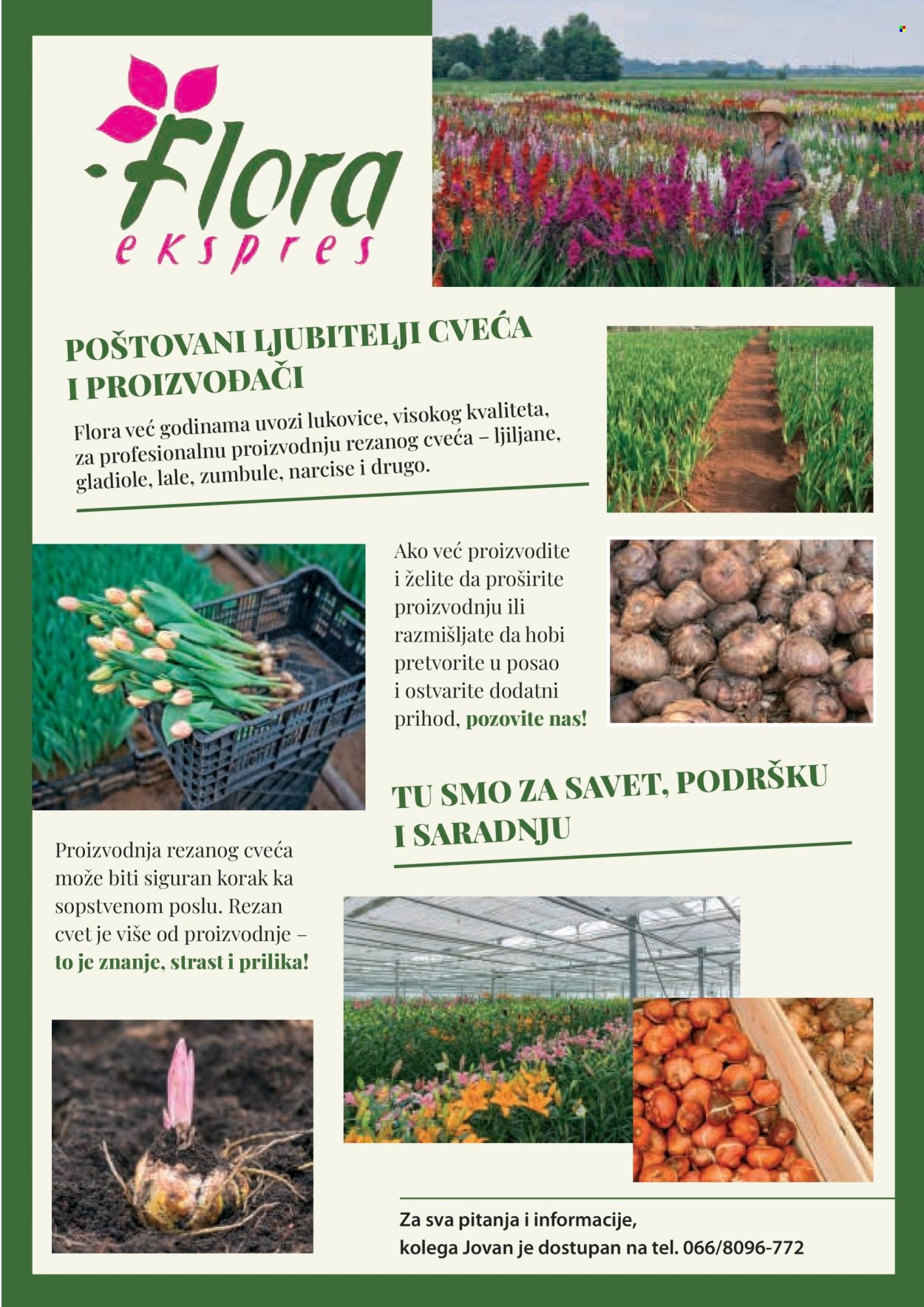 Flora Ekspres katalog. Stranica 123