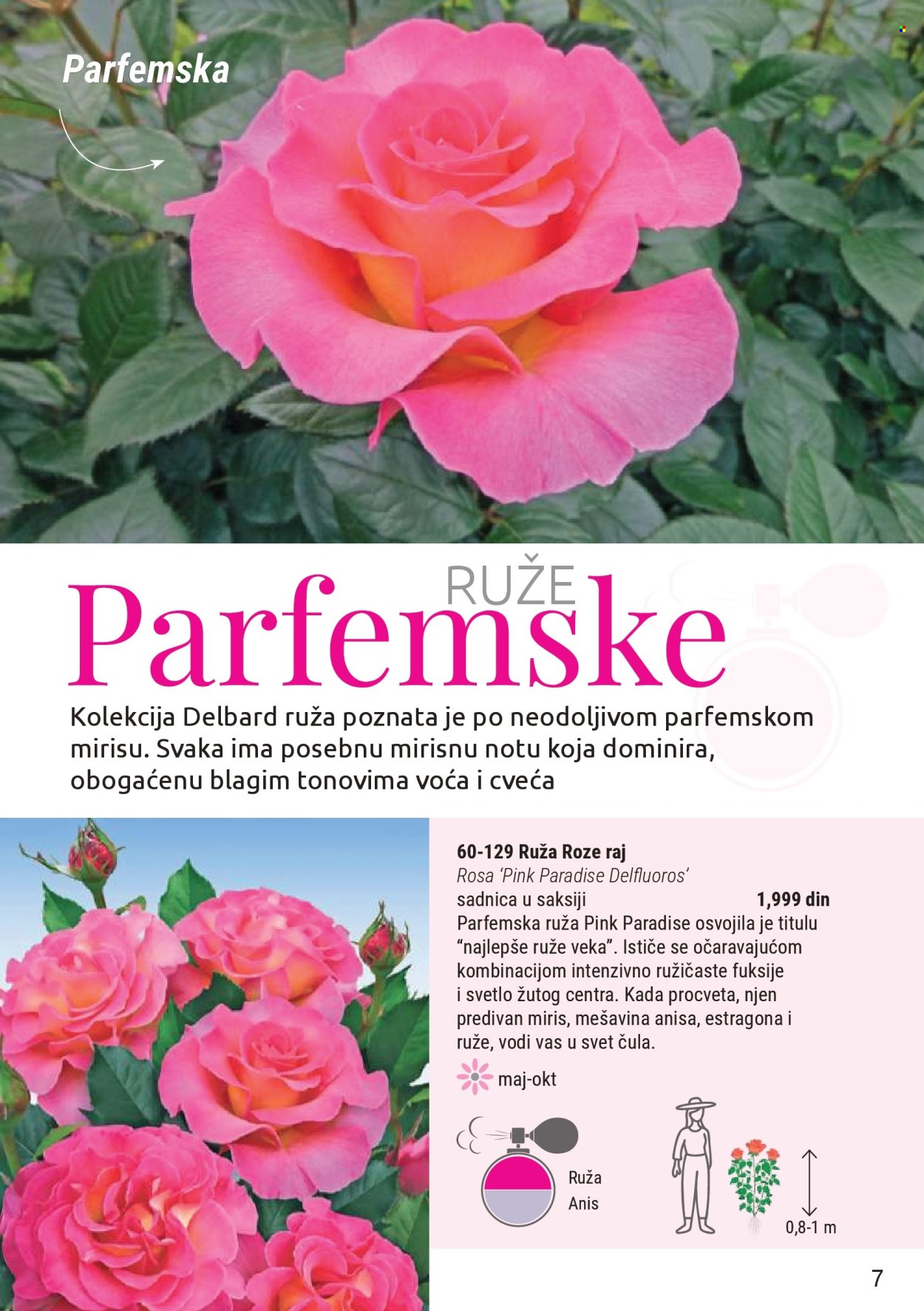 Flora Ekspres katalog. Stranica 7