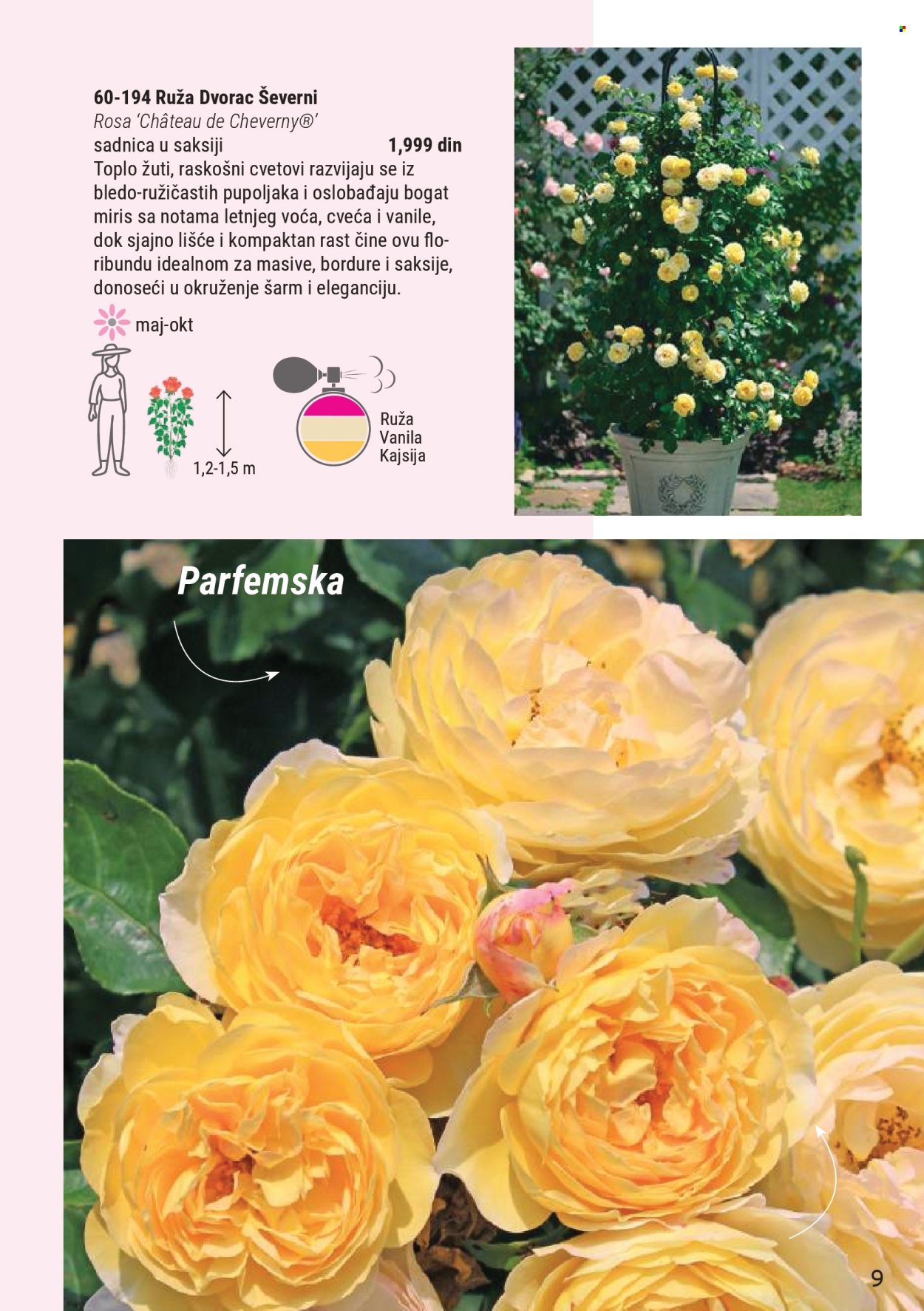 Flora Ekspres katalog. Stranica 9