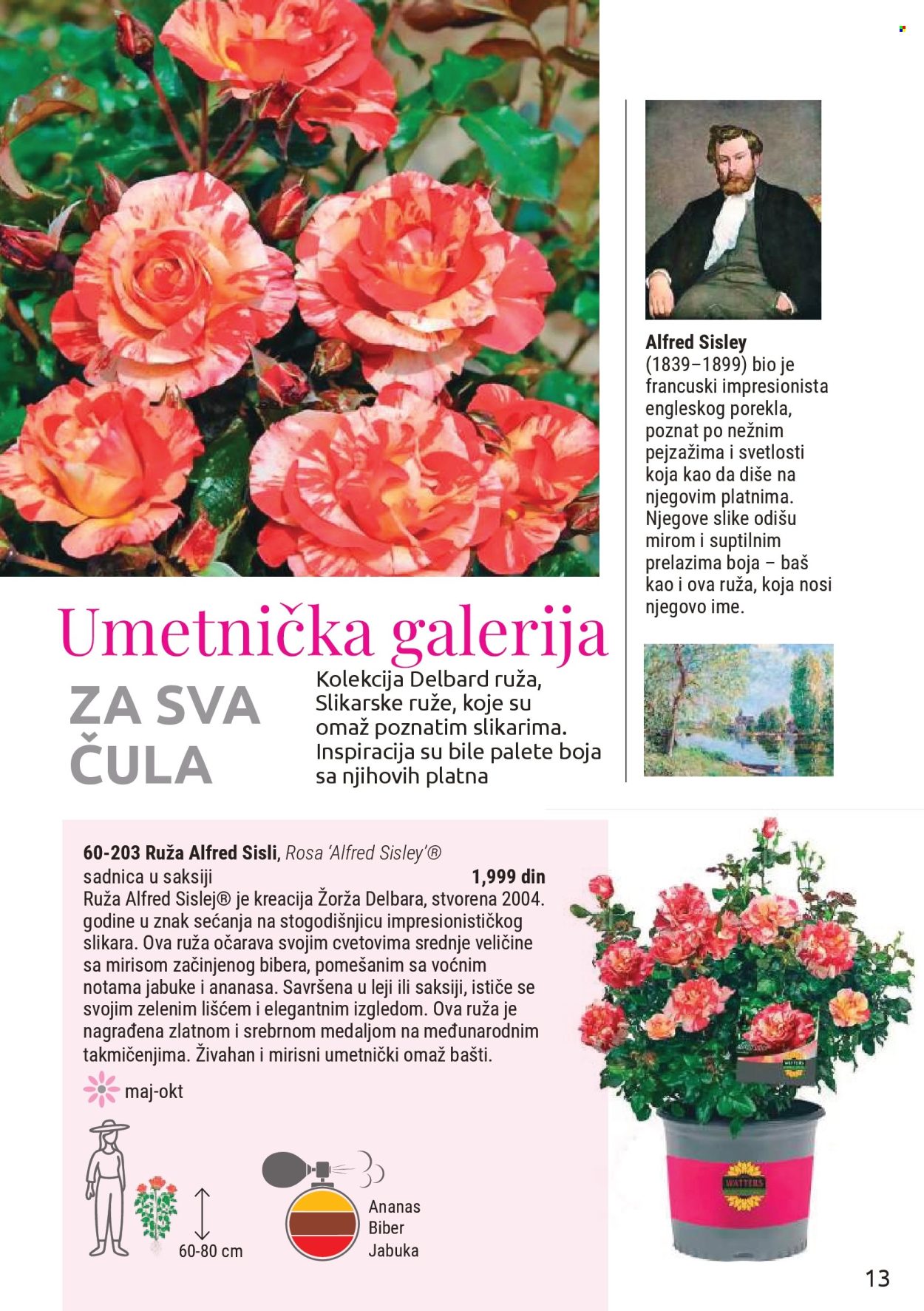 Flora Ekspres katalog. Stranica 13