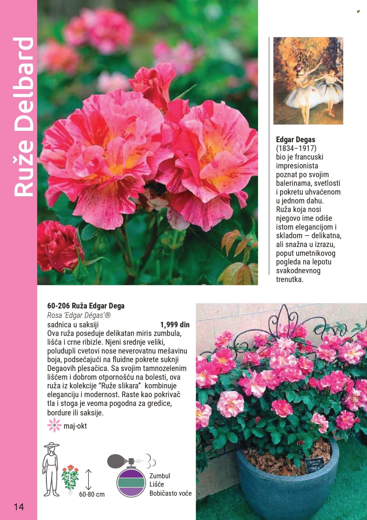 Flora Ekspres katalog. Stranica 14