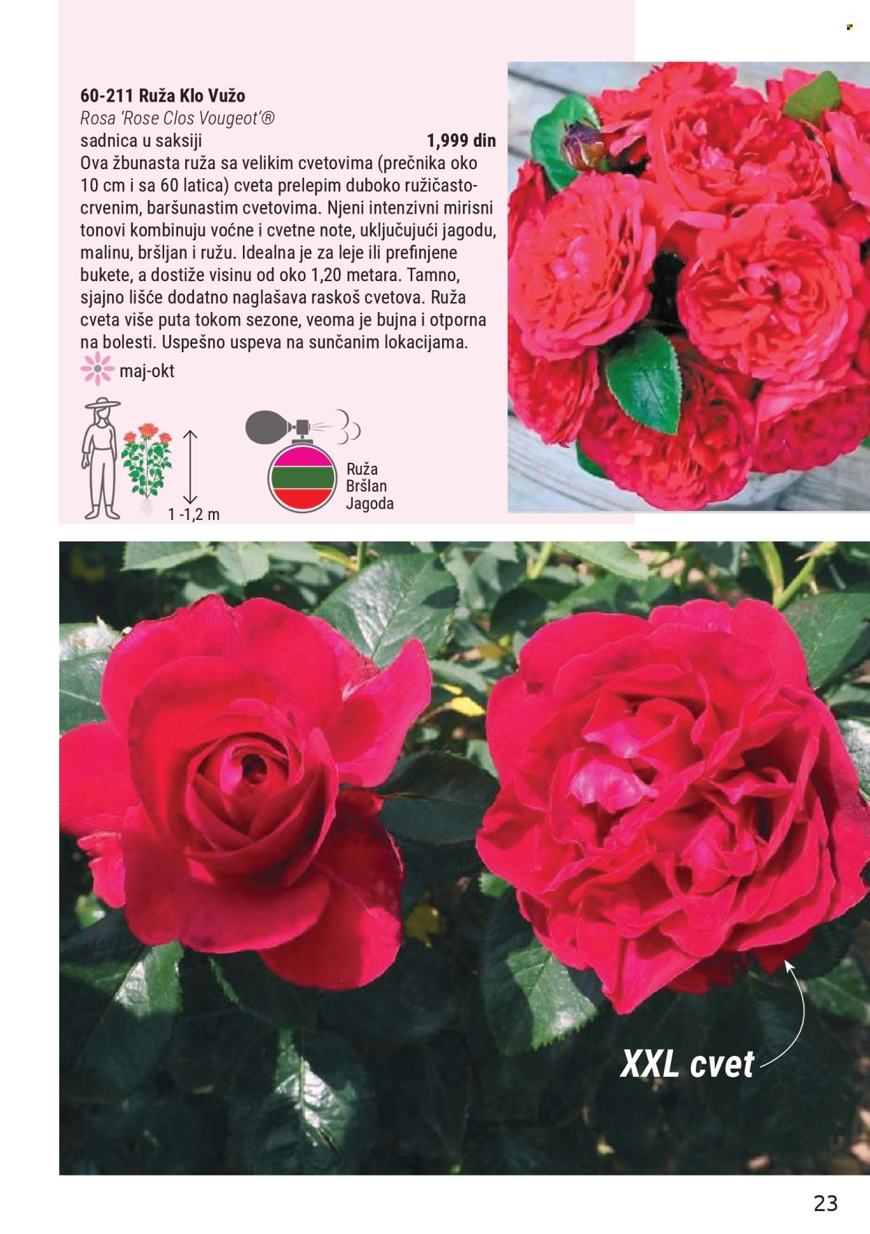 Flora Ekspres katalog. Stranica 23