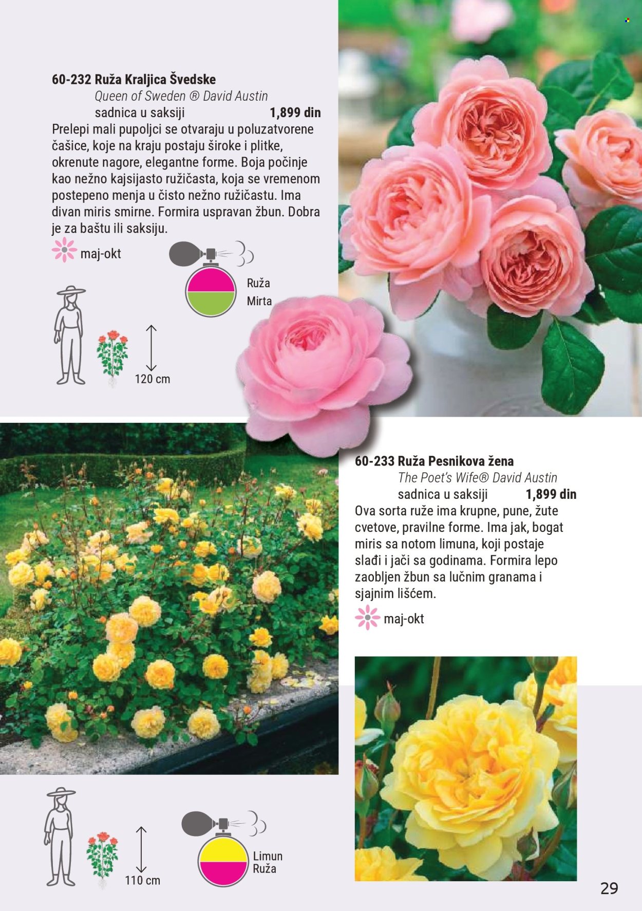 Flora Ekspres katalog. Stranica 29