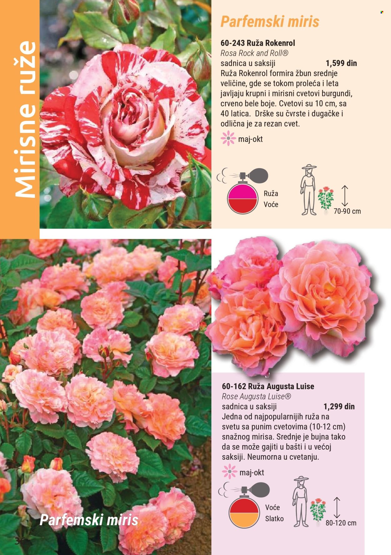 Flora Ekspres katalog. Stranica 36