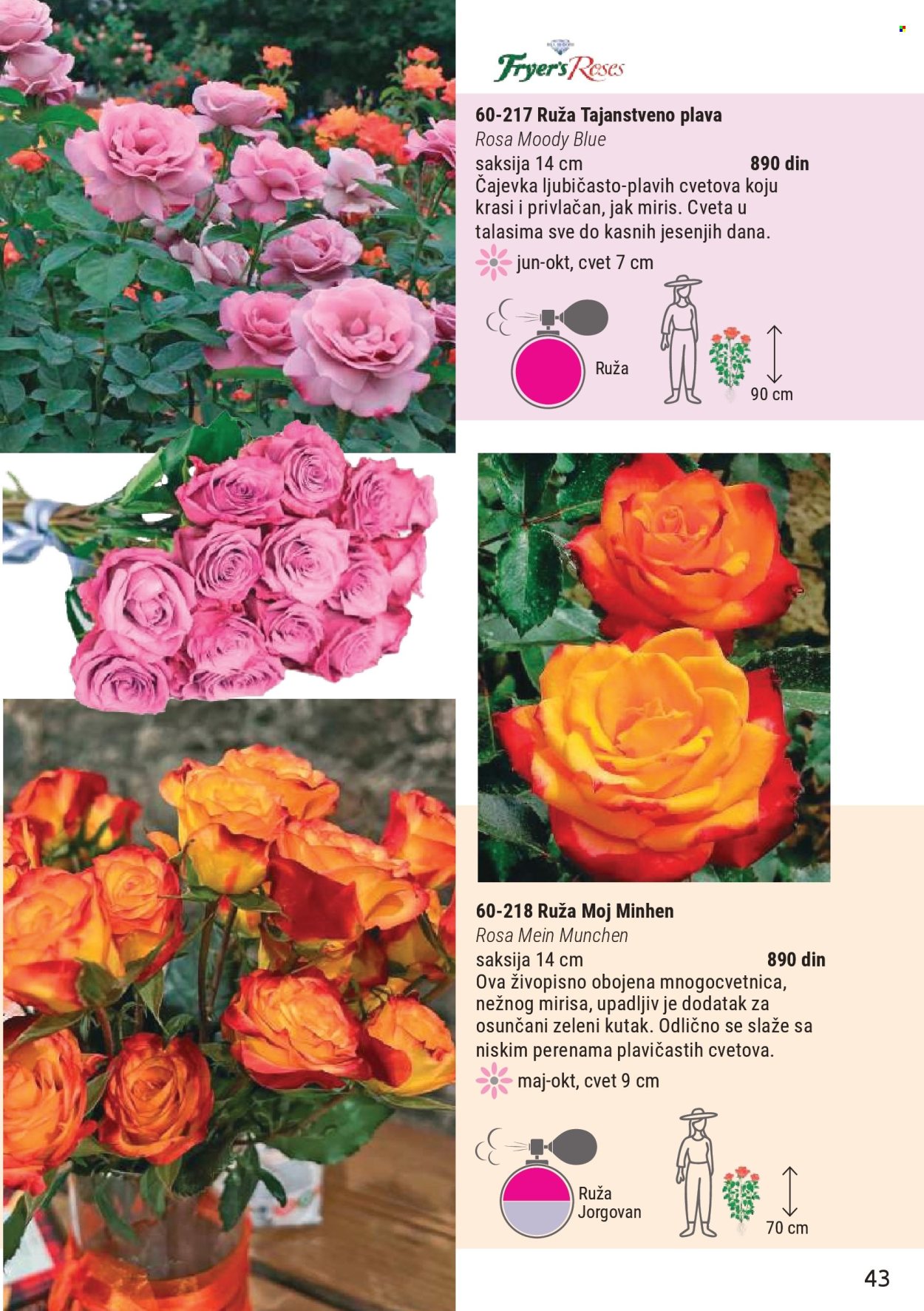 Flora Ekspres katalog. Stranica 43