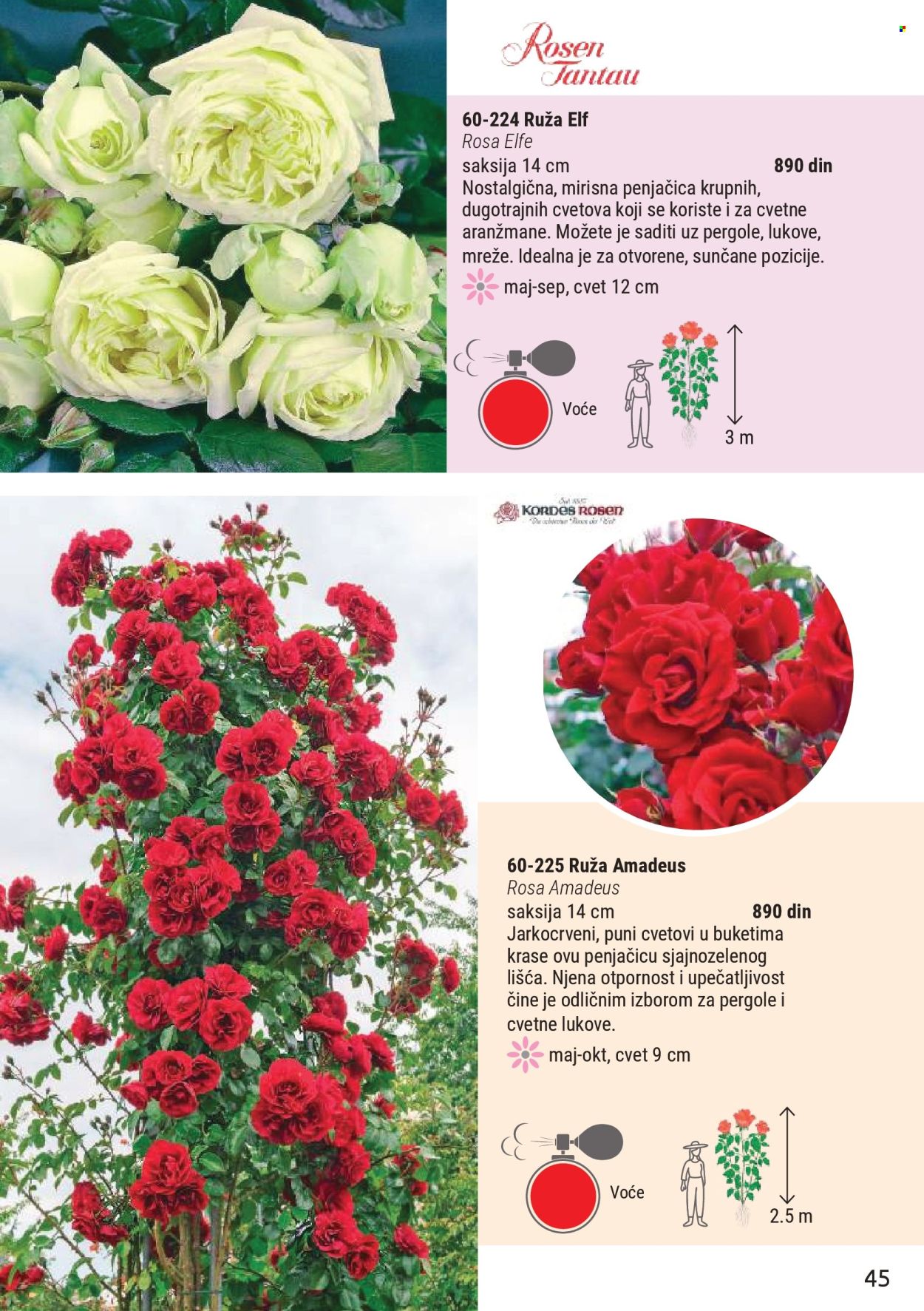 Flora Ekspres katalog. Stranica 45