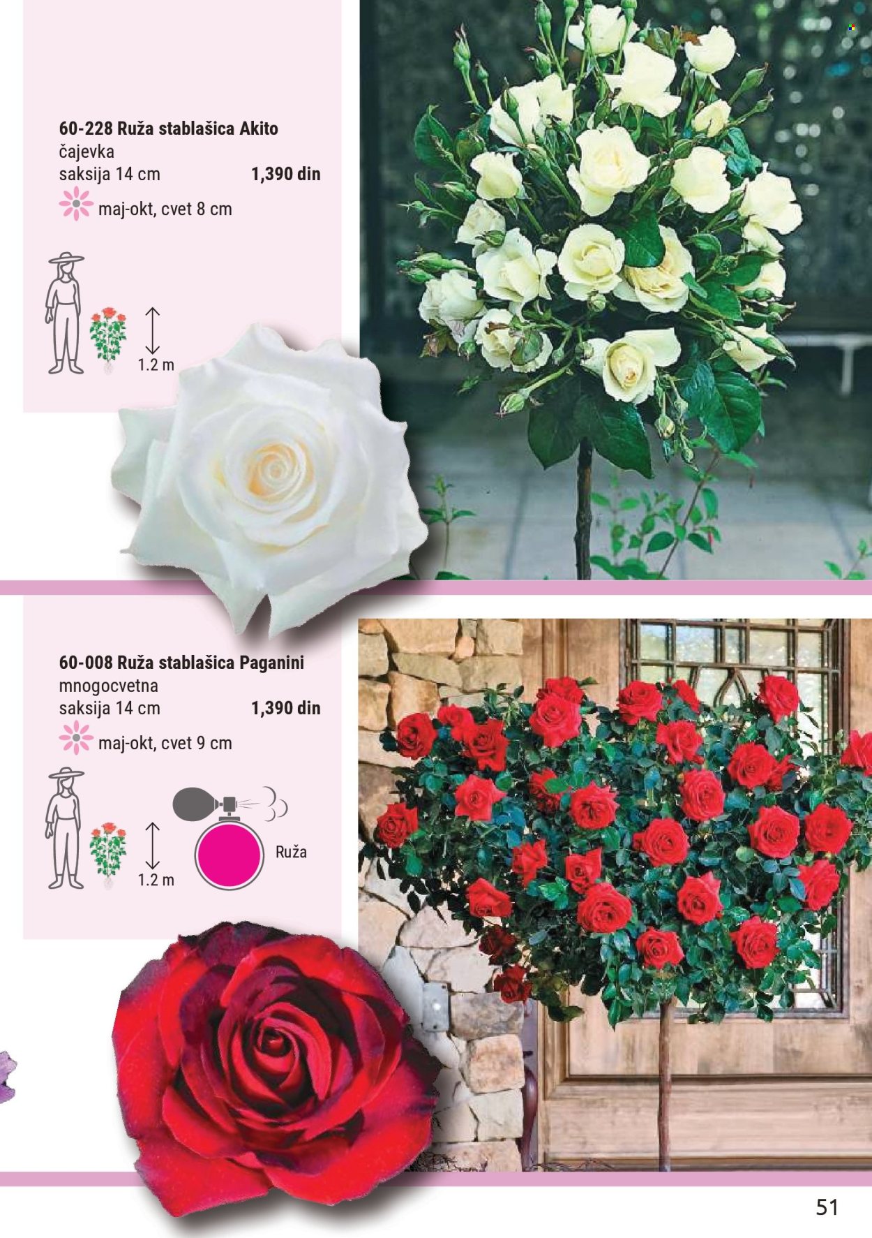 Flora Ekspres katalog. Stranica 51