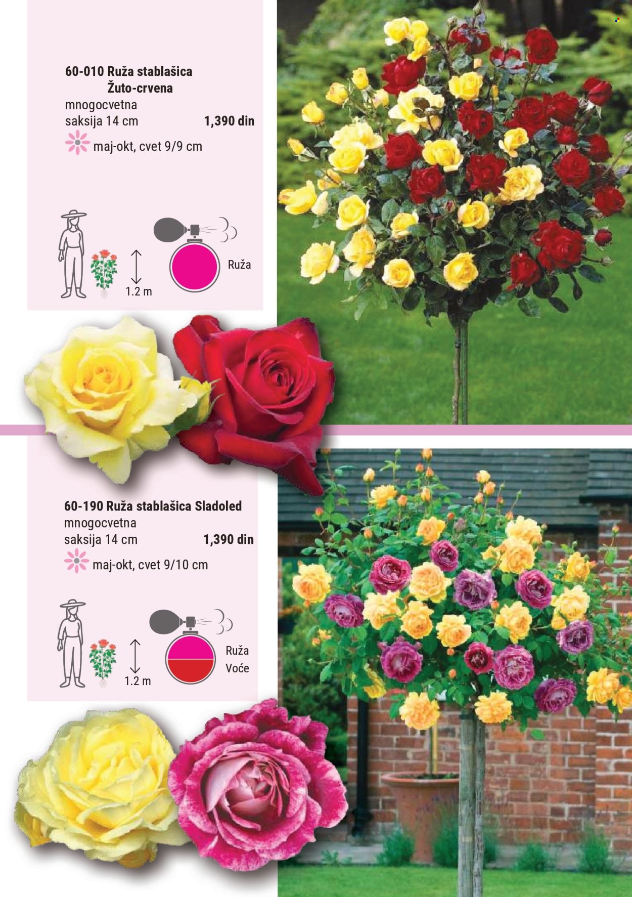 Flora Ekspres katalog. Stranica 52