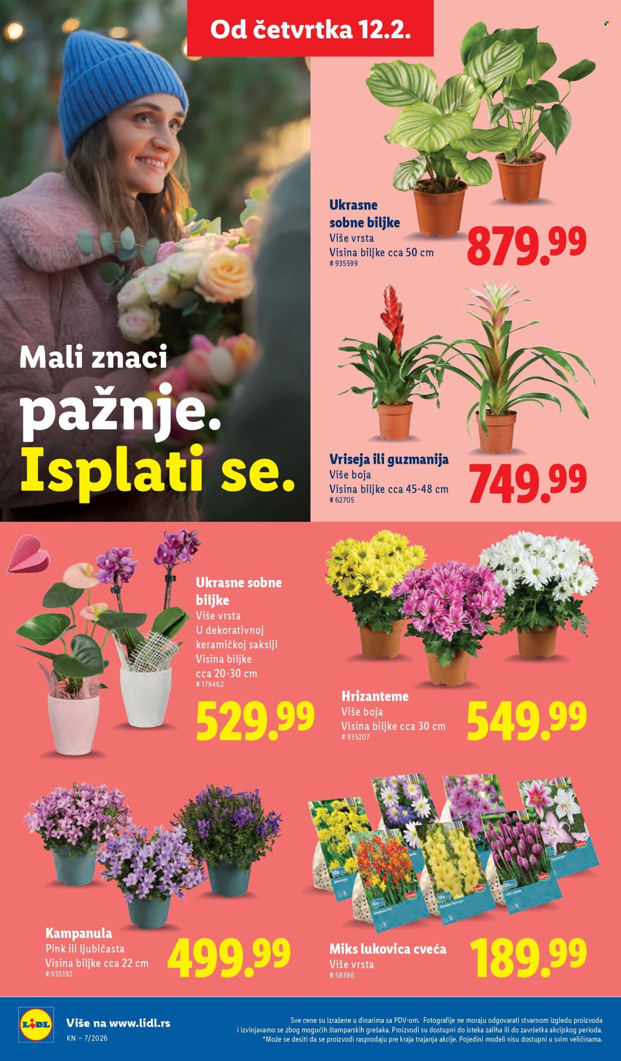 Lidl katalog - 12.02.2026 - 18.02.2026. Stranica 56