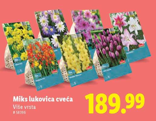 Miks lukovica cveća