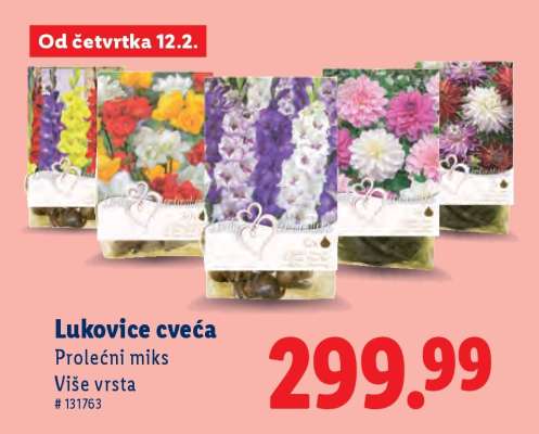 Lukovice cveća