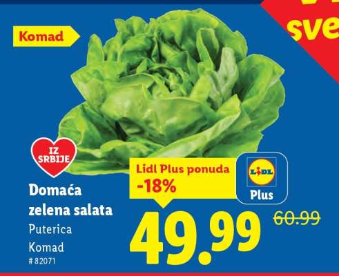 Domaća zelena salata