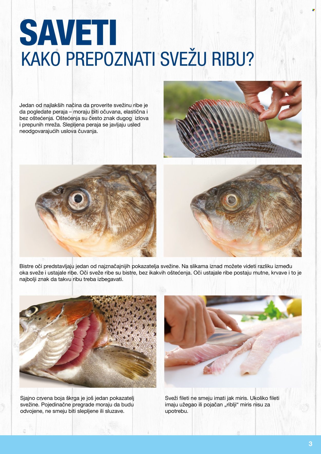 Metro katalog. Stranica 3