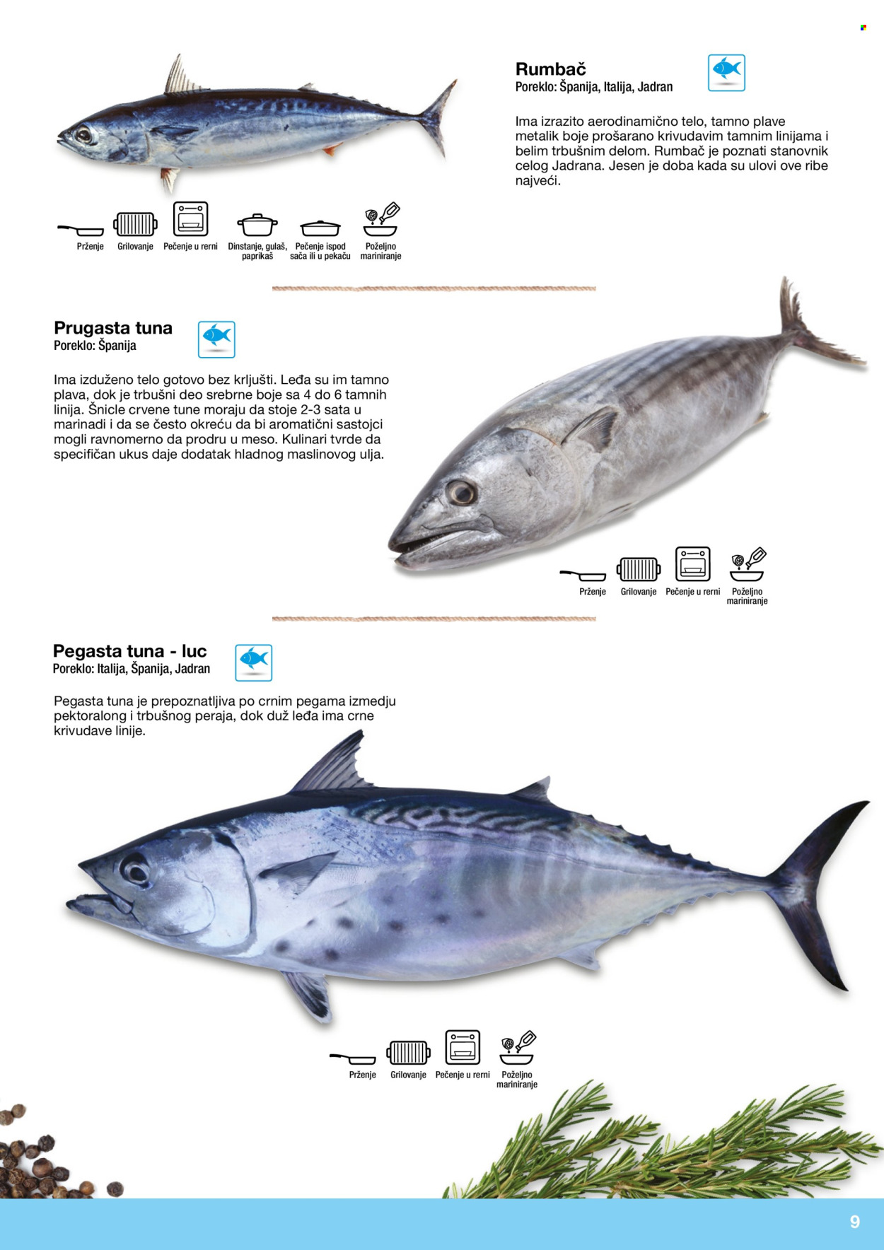 Metro katalog. Stranica 9