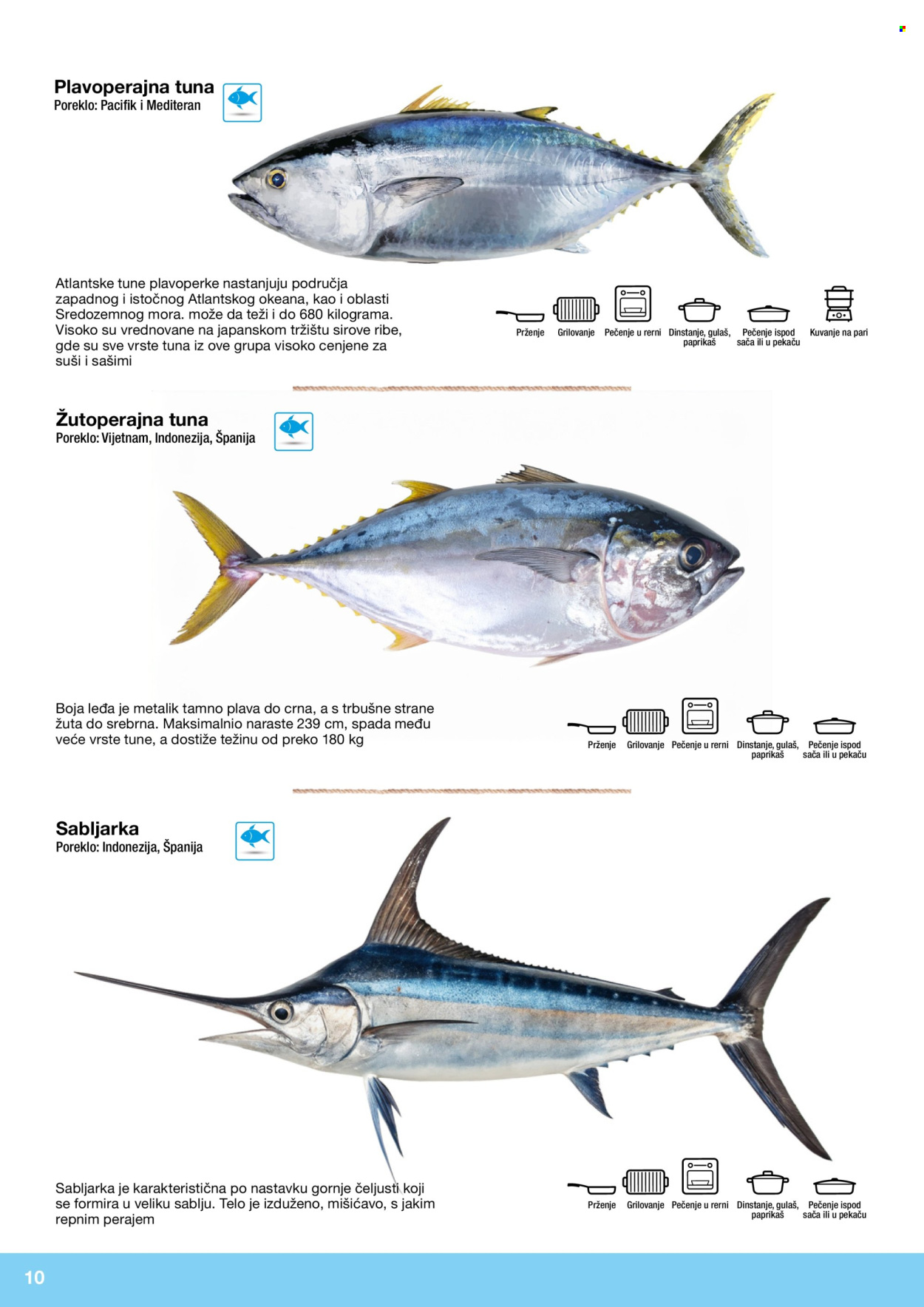 Metro katalog. Stranica 10