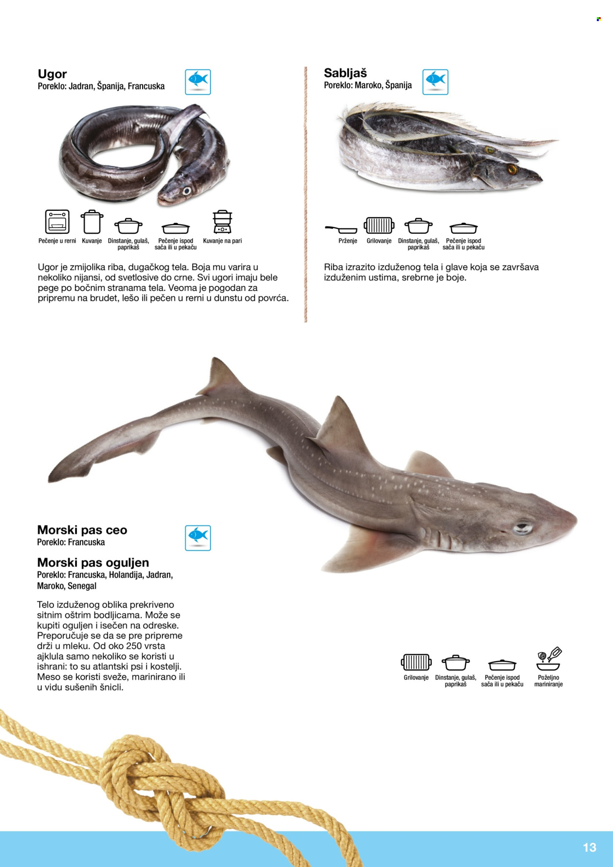 Metro katalog. Stranica 13