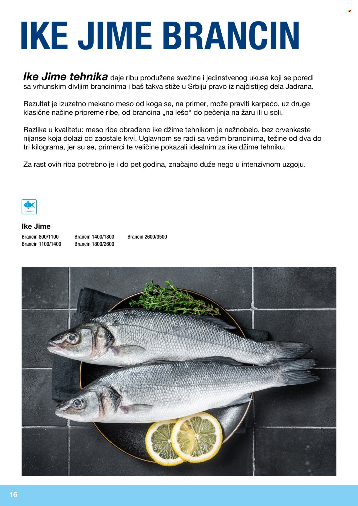 Metro katalog. Stranica 16