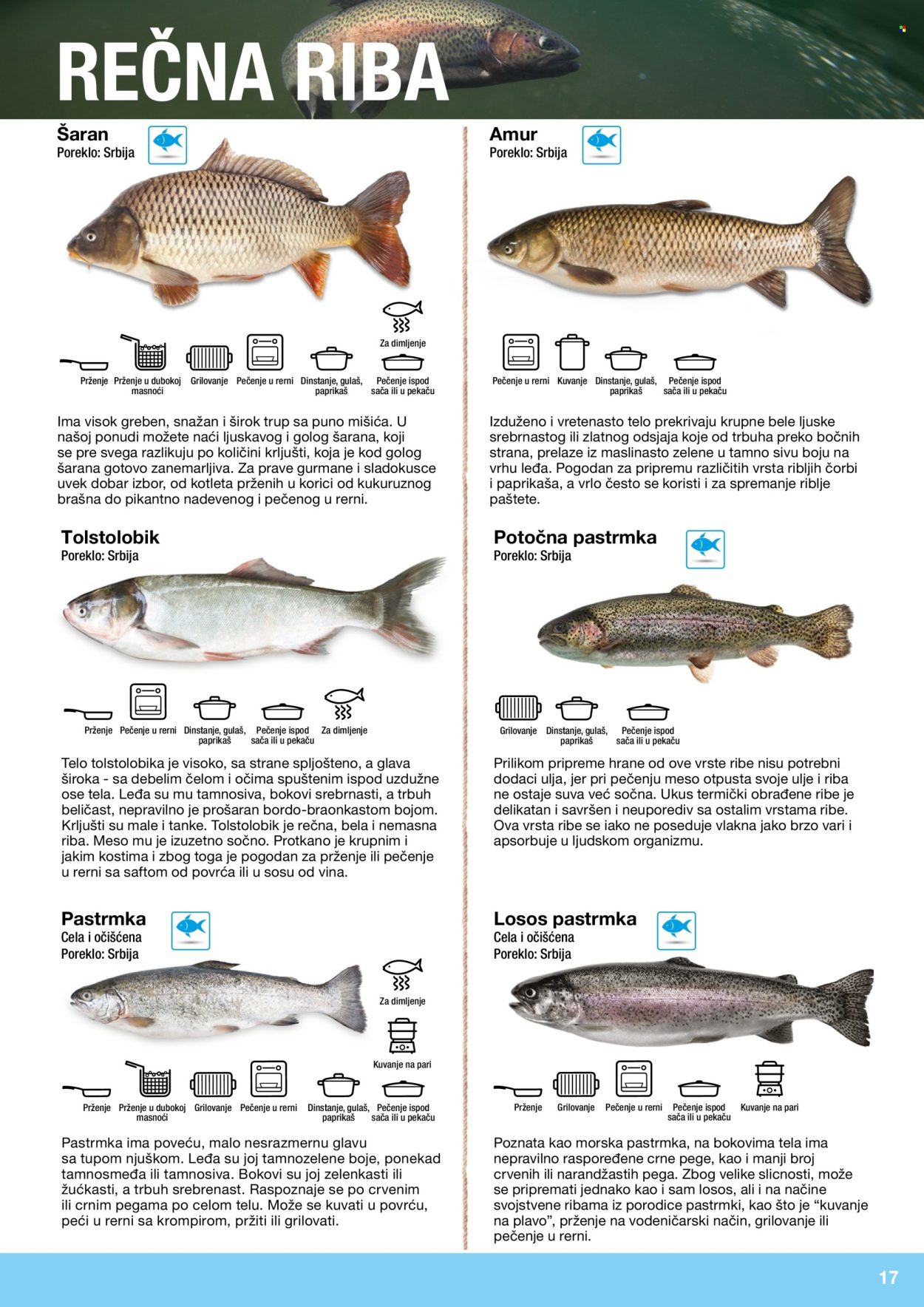 Metro katalog. Stranica 17