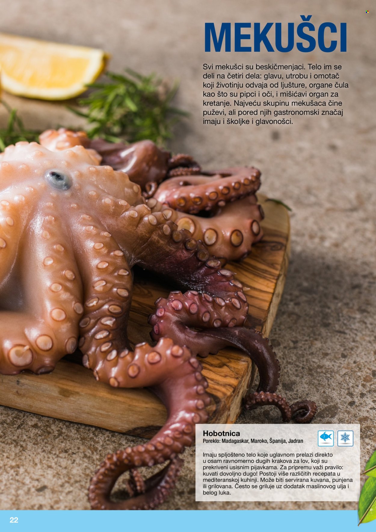 Metro katalog. Stranica 22