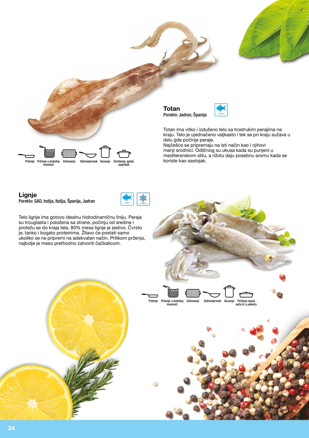 Metro katalog. Stranica 24