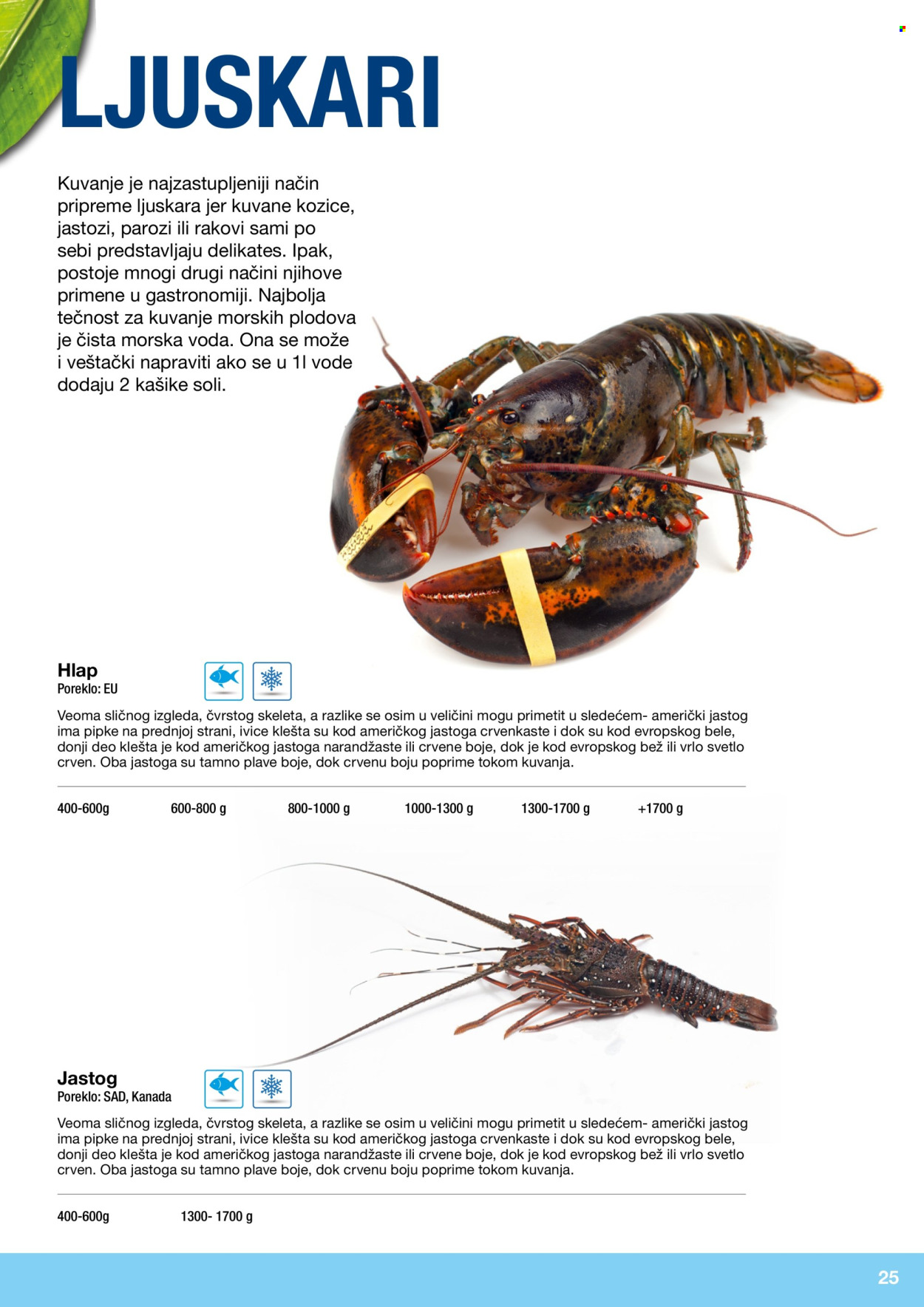 Metro katalog. Stranica 25